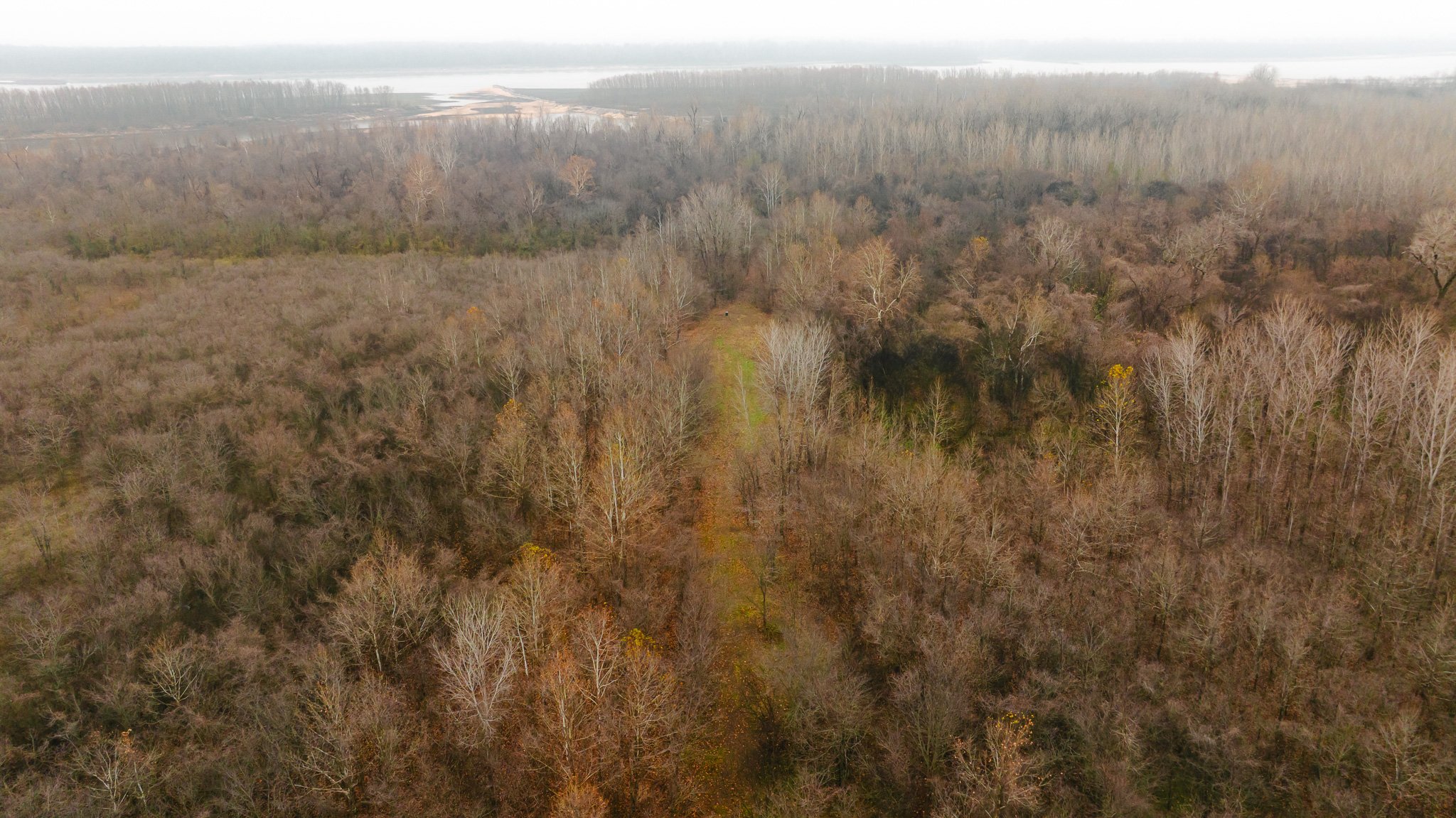 DJI_20251204100230_0046_D.jpg