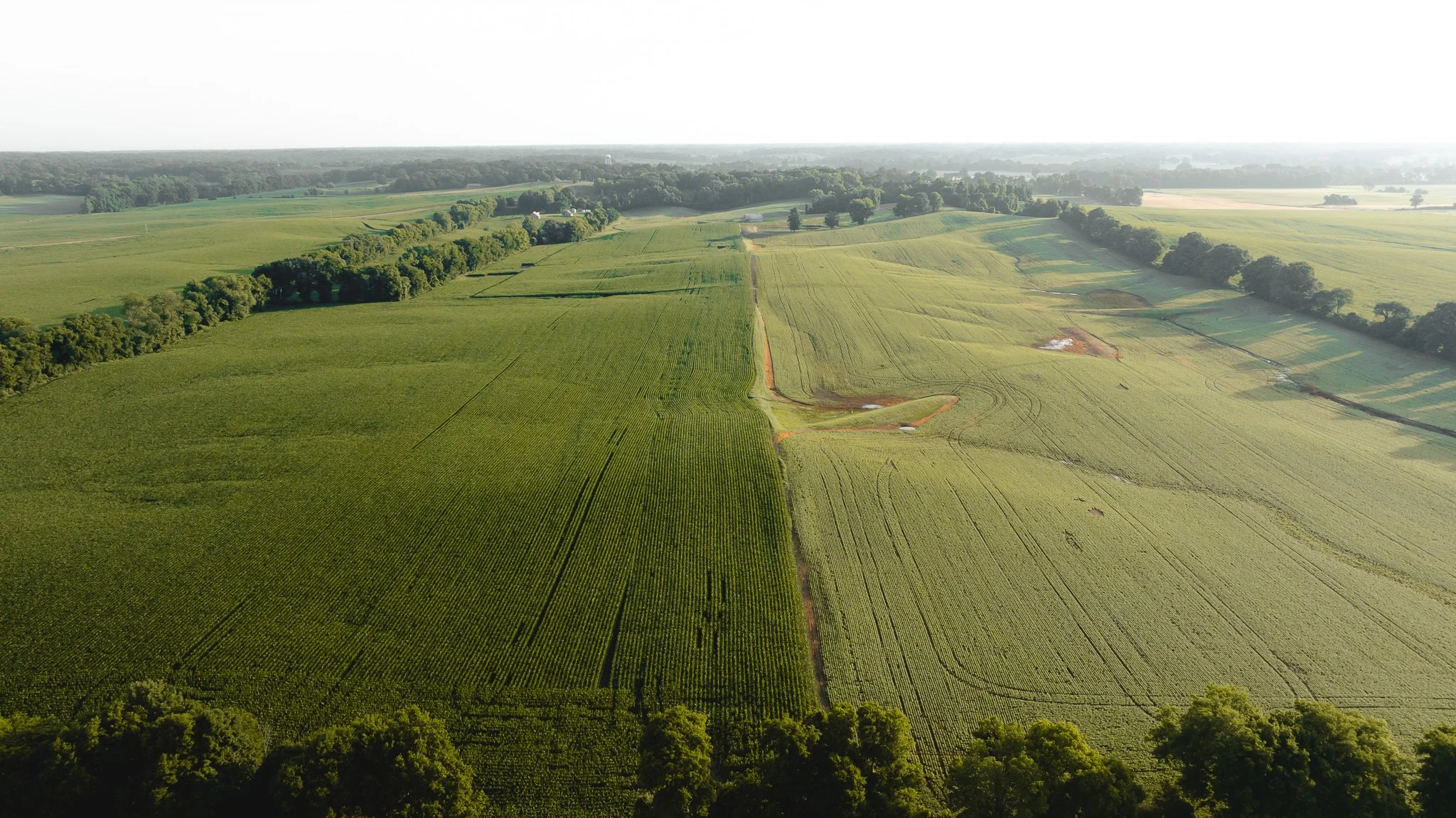 DJI_20260531140441_0080_D.jpg