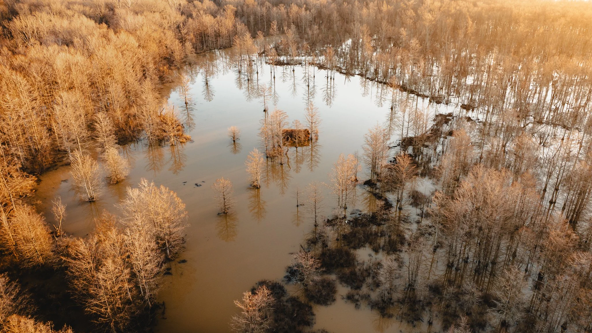 DJI_20250225070340_0040_D.jpg