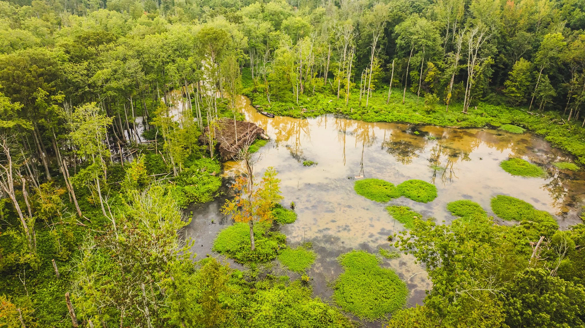 DJI_20250805080630_0041_D.jpg