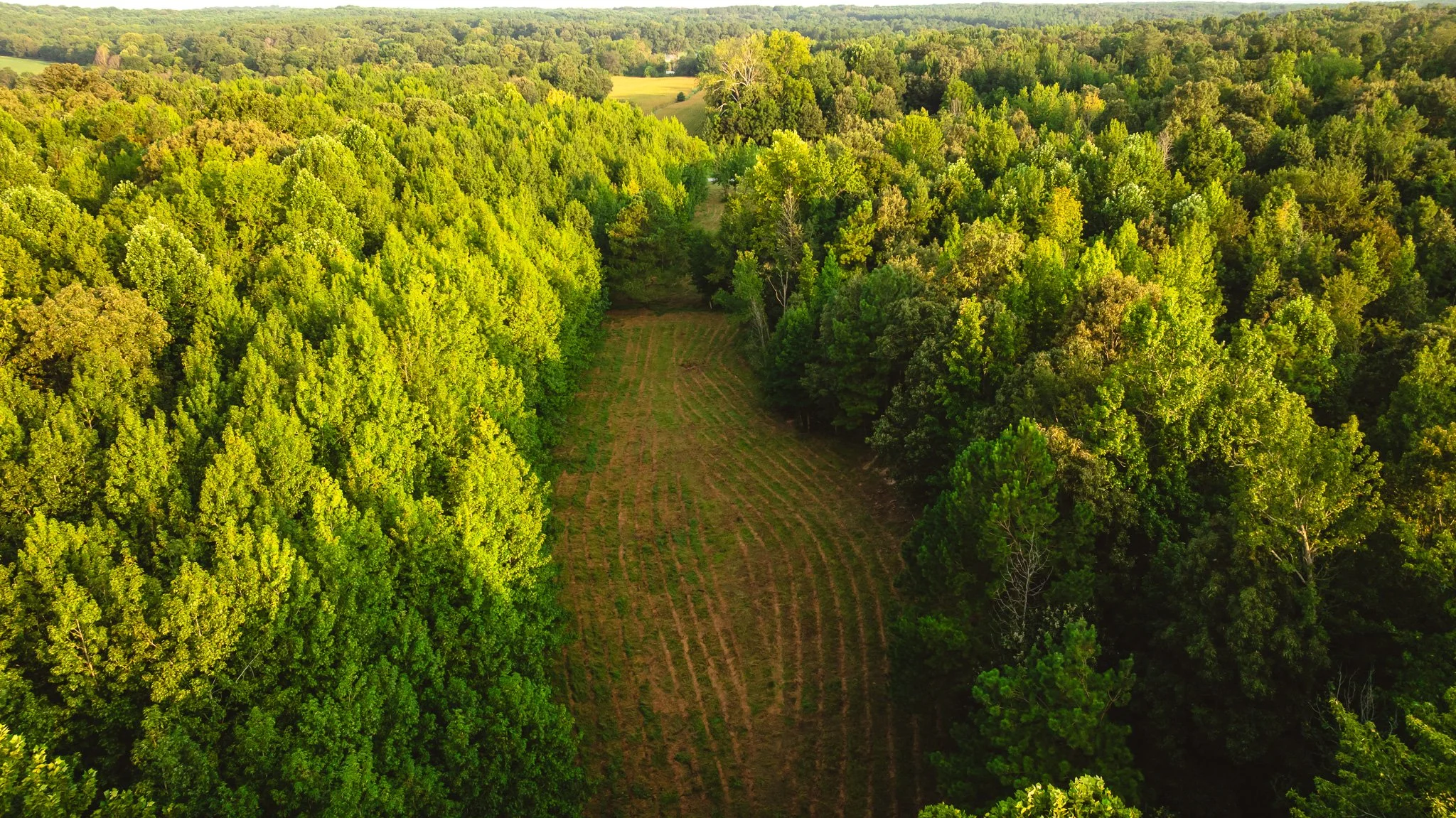 DJI_20260812143637_0150_D.jpg