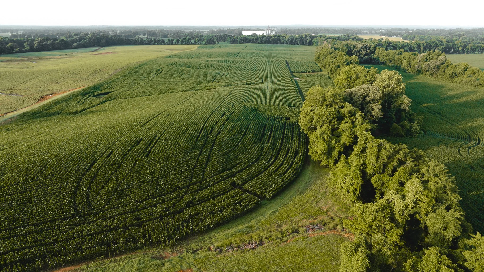 DJI_20260531140222_0075_D.jpg