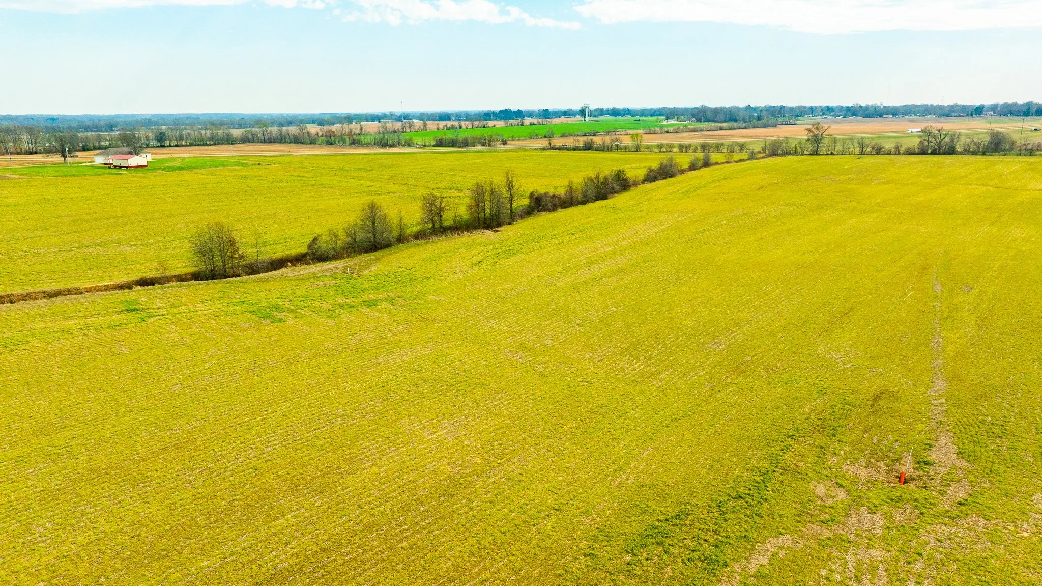 DJI_20260319151927_0022_D.jpg