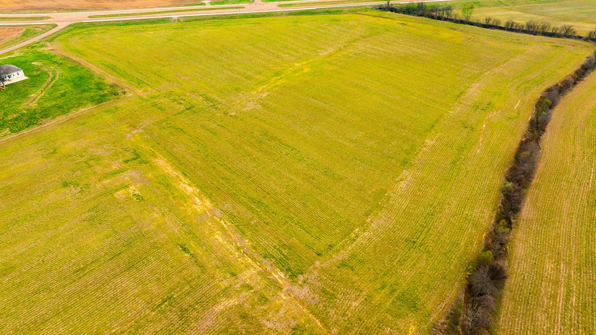 DJI_20260319151826_0019_D.jpg