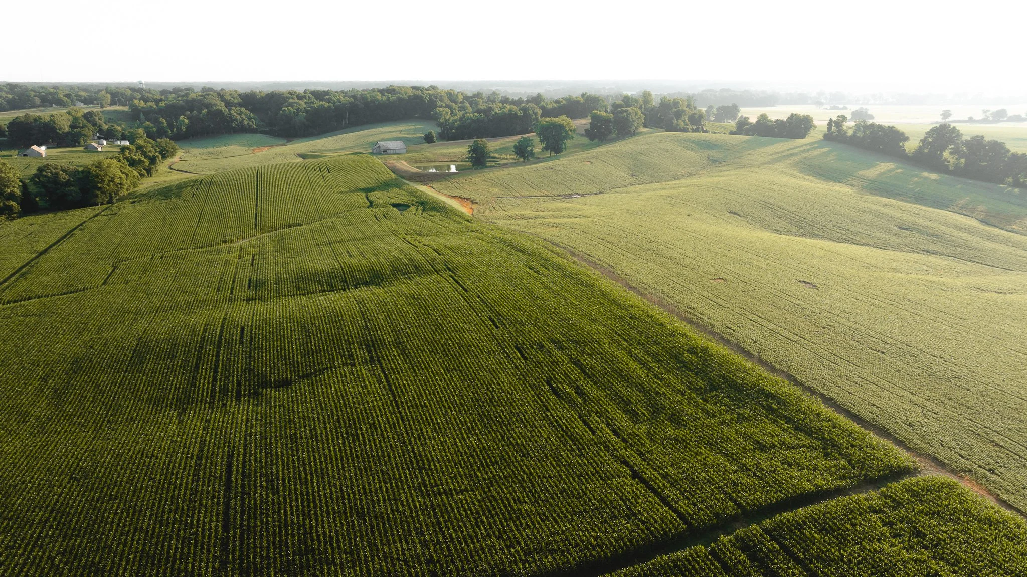 DJI_20260531140331_0078_D.jpg