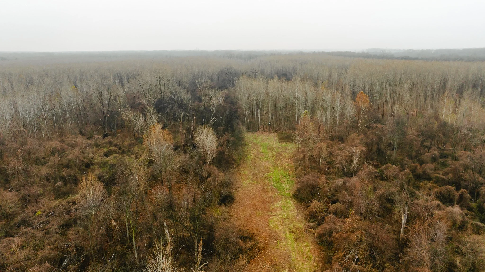 DJI_20251204095315_0025_D.jpg