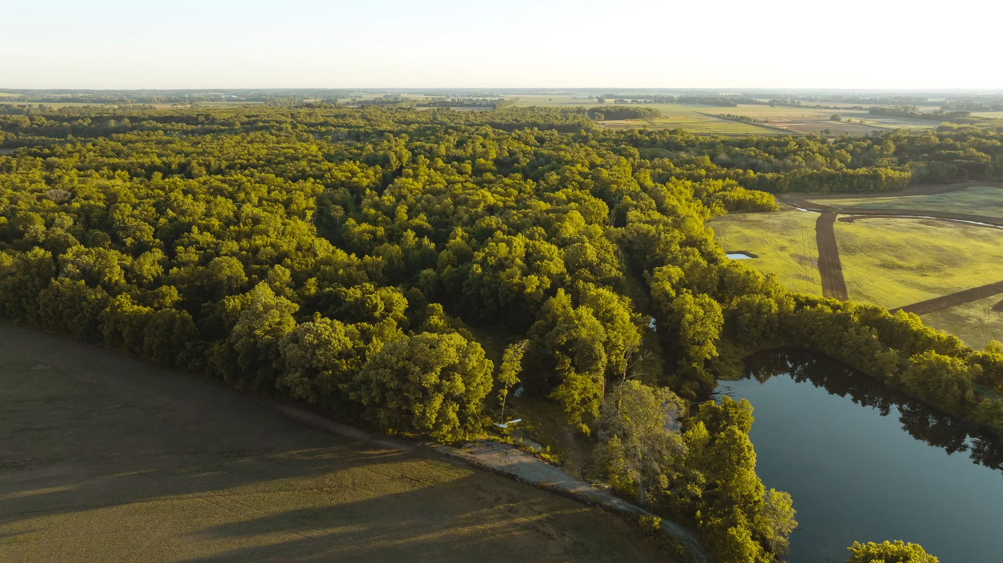 DJI_20260505134017_0037_D.jpg