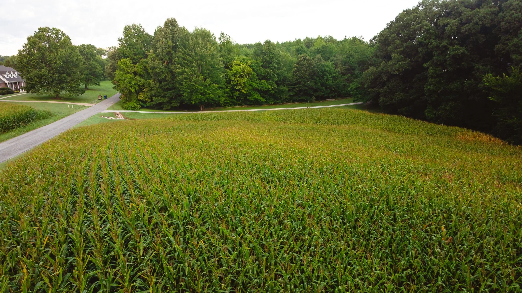 DJI_20260803141751_0043_D.jpg