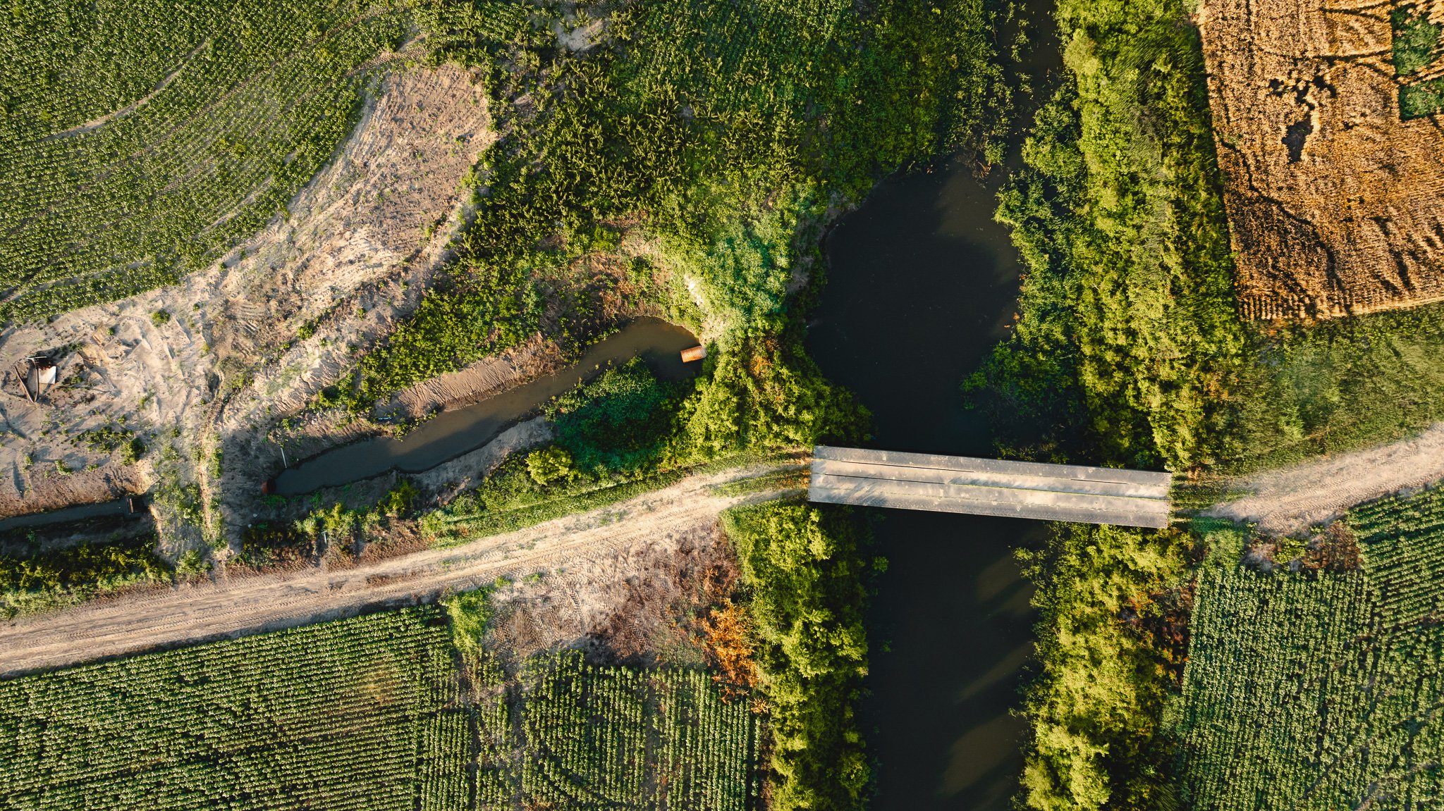 DJI_20260602135349_0023_D.jpg