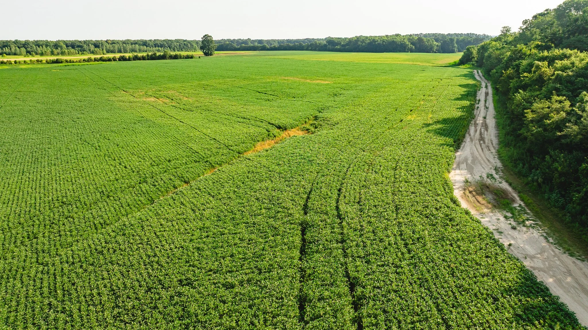 DJI_20260823160346_0013_D.jpg