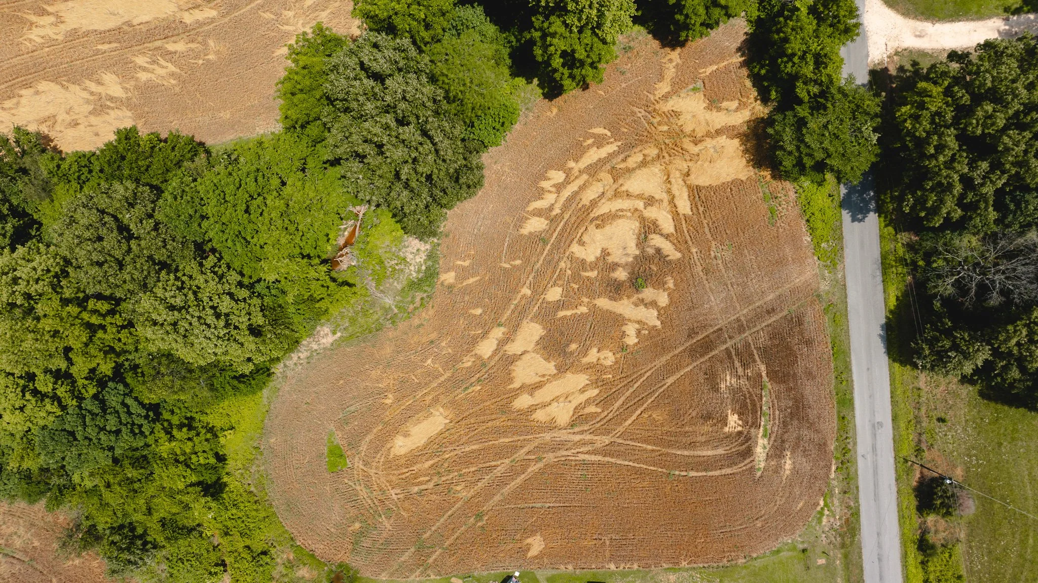 DJI_20260602203800_0003_D.jpg