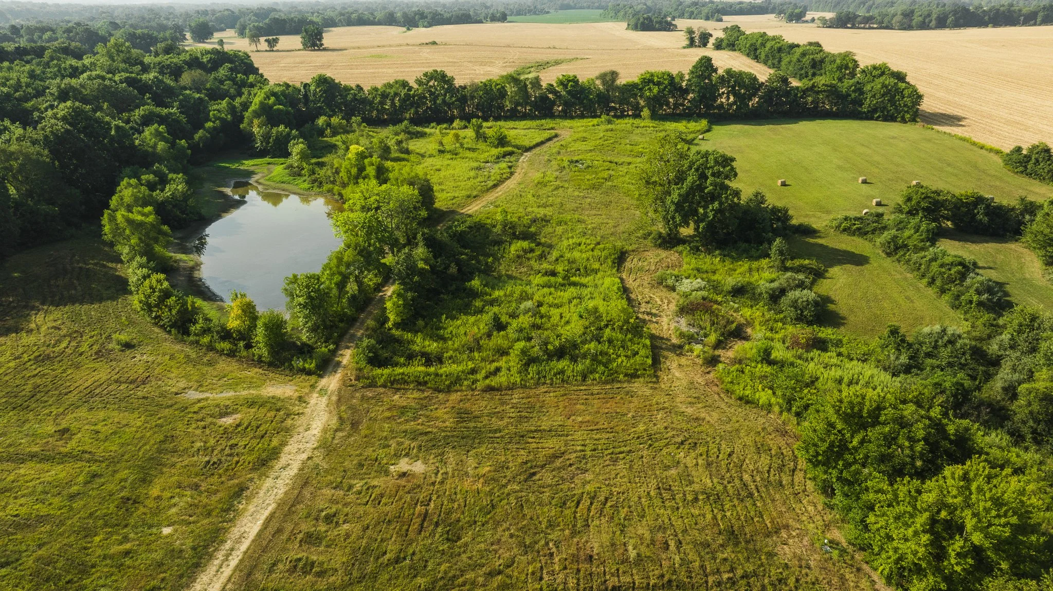 DJI_20250911092850_0007_D.jpg