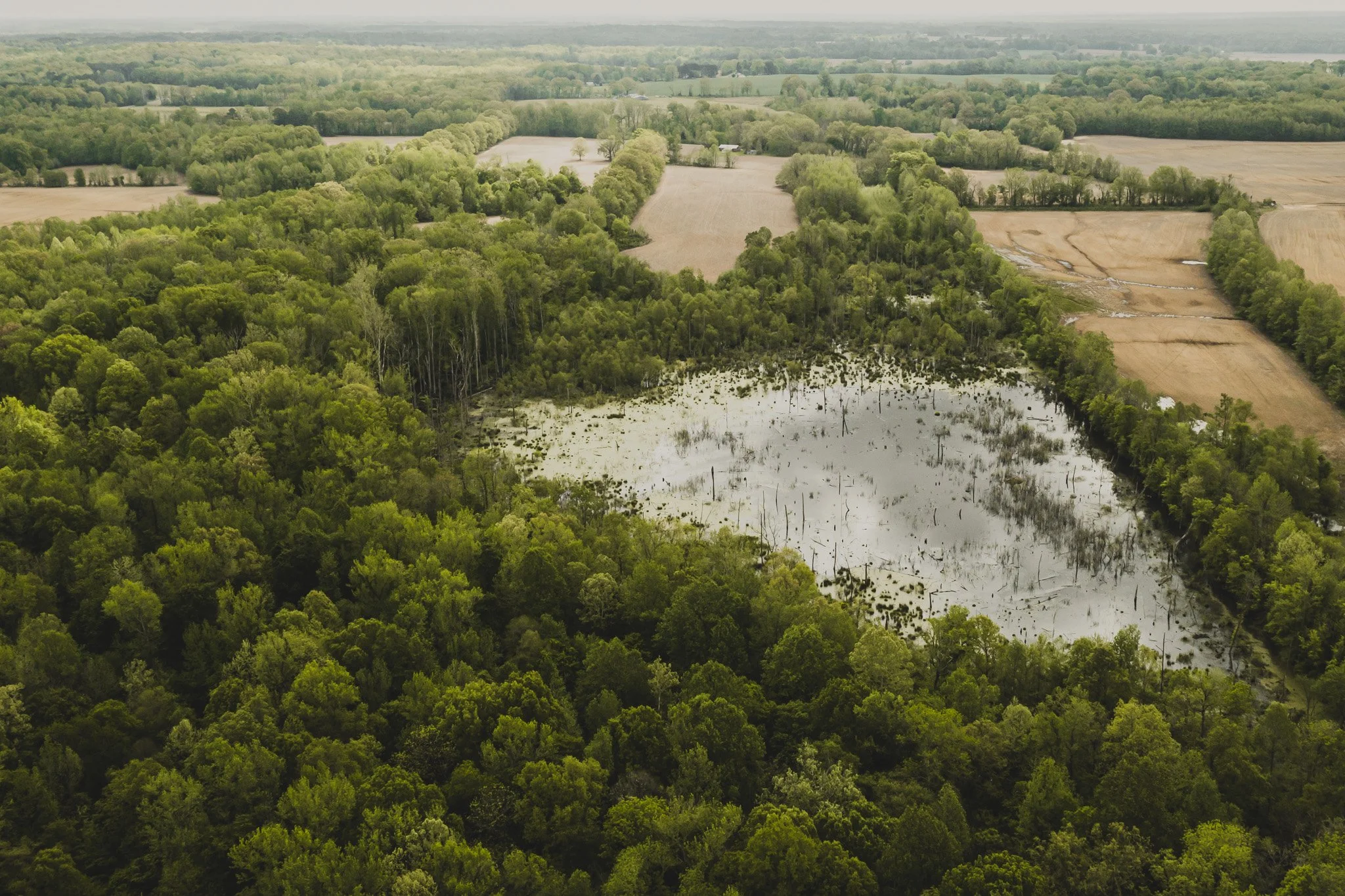 DJI_0662.jpg