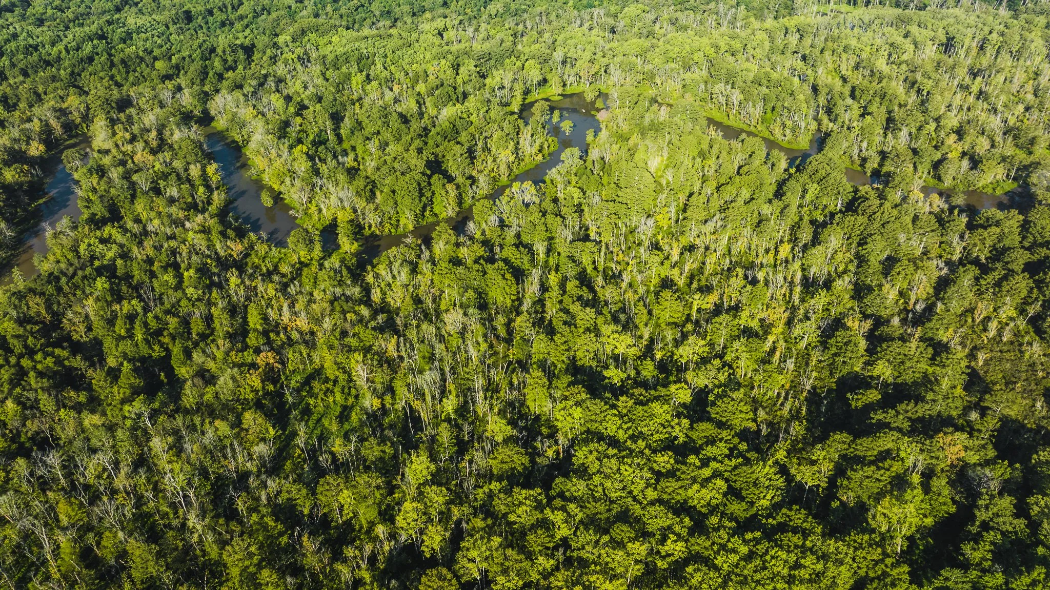 DJI_20250821082339_0021_D.jpg
