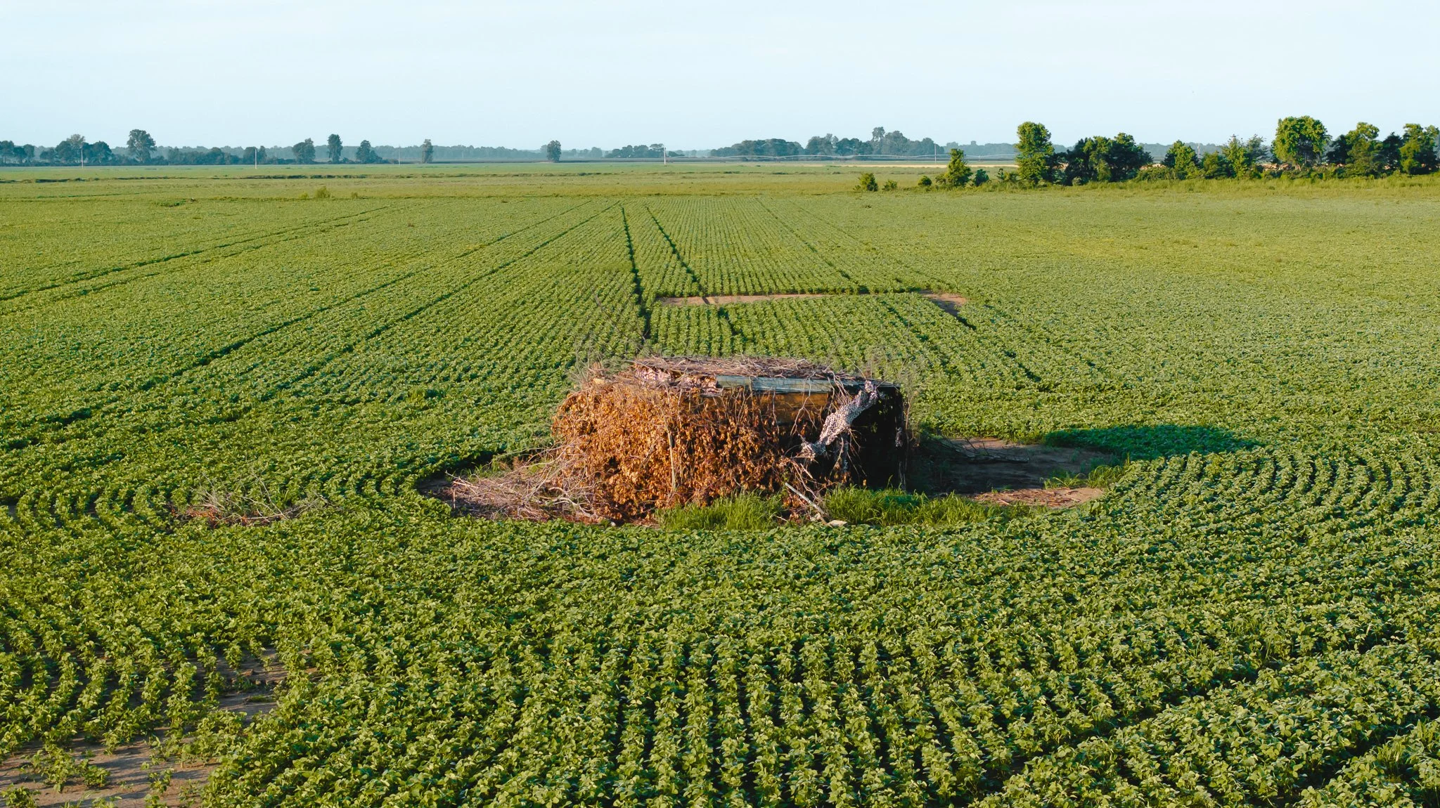 DJI_20260602135150_0017_D.jpg