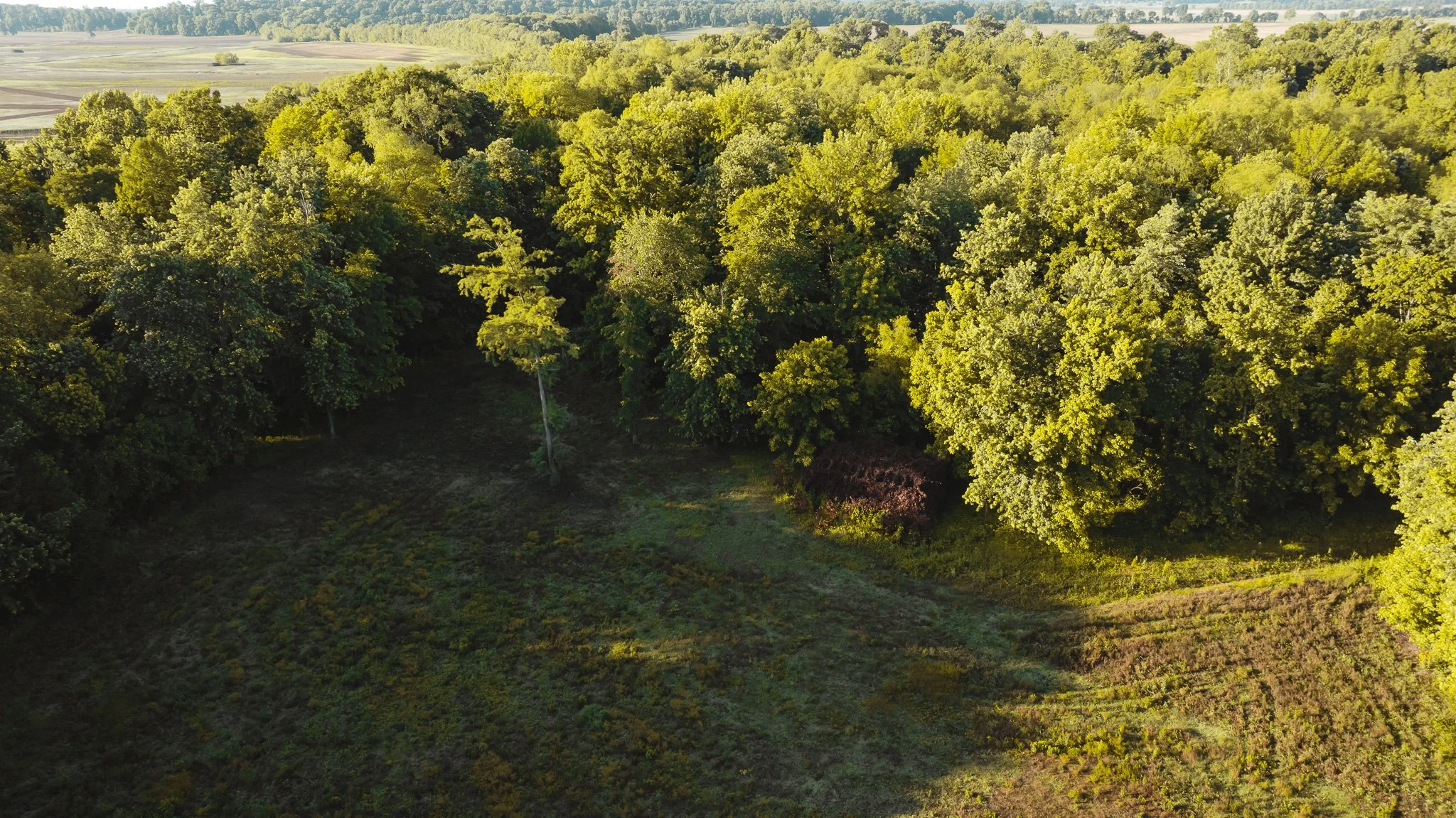 DJI_20260505143530_0058_D.jpg