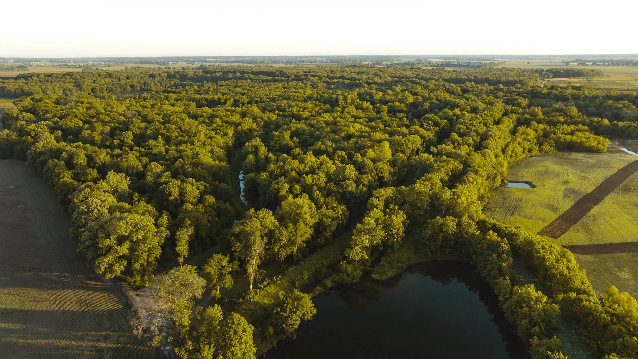 DJI_20260505134030_0038_D.jpg