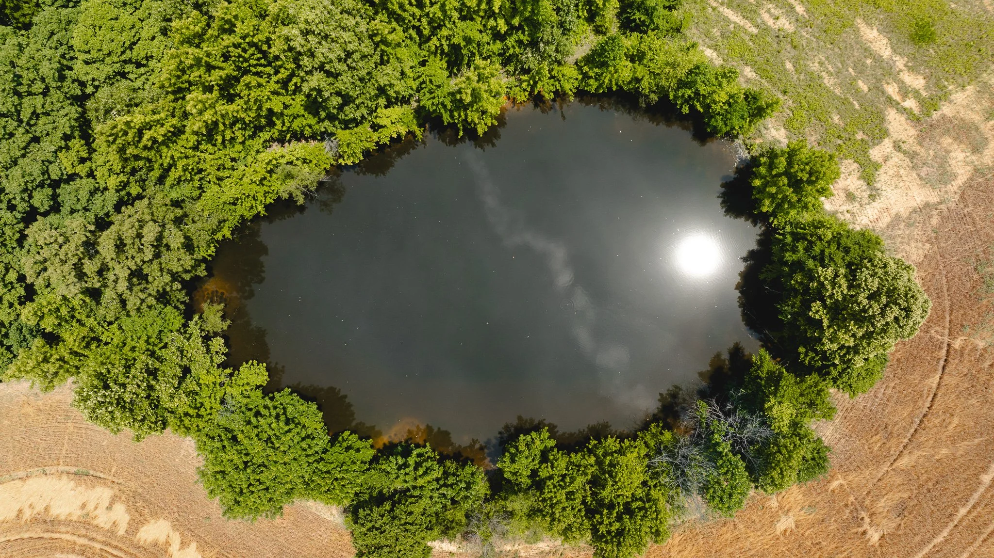 DJI_20260602203937_0008_D.jpg