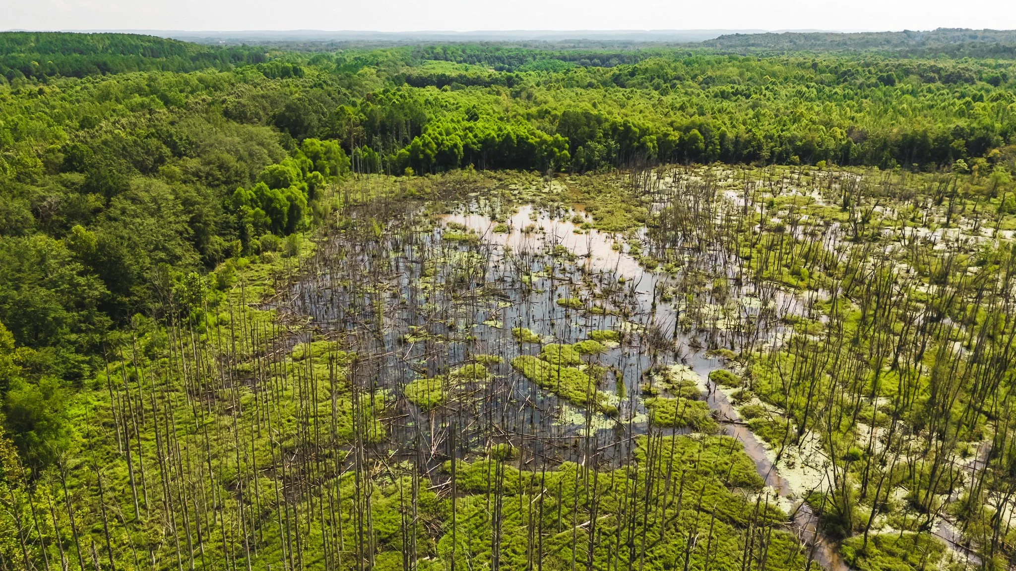 DJI_20250814102023_0013_D.jpg