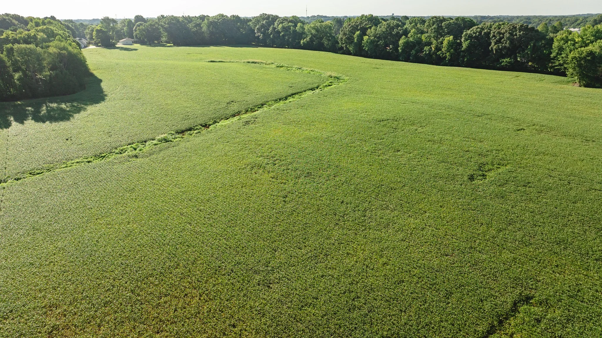 DJI_20260816154539_0013_D.jpg