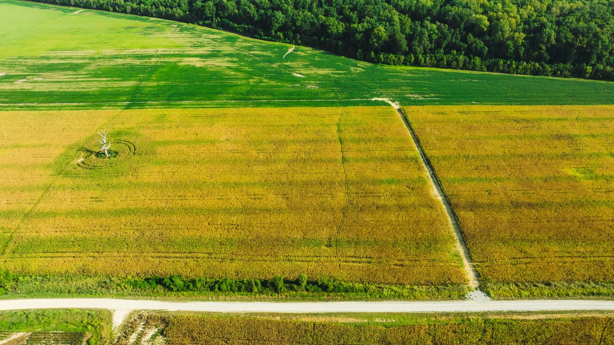 DJI_20250915091625_0005_D.jpg