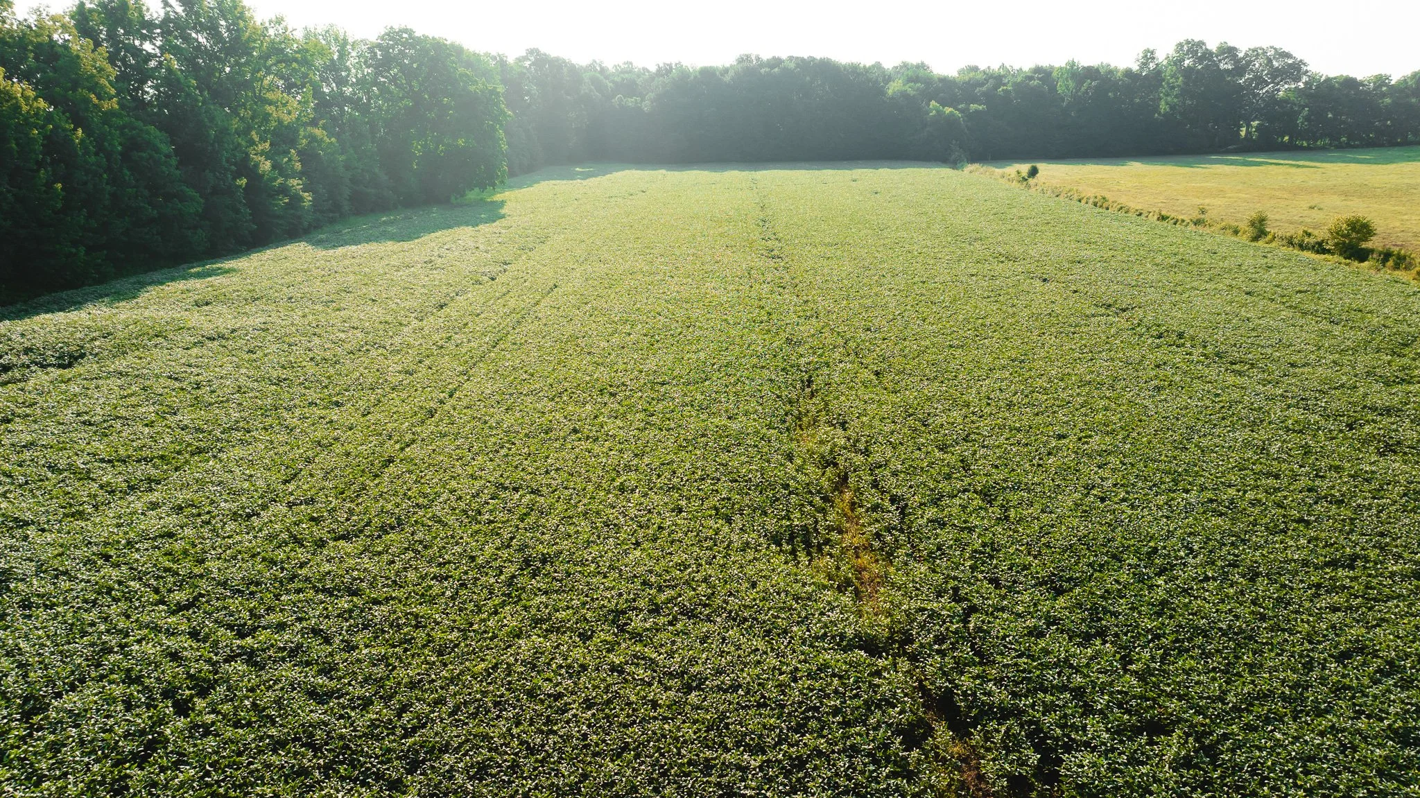 DJI_20260707150538_0042_D.jpg