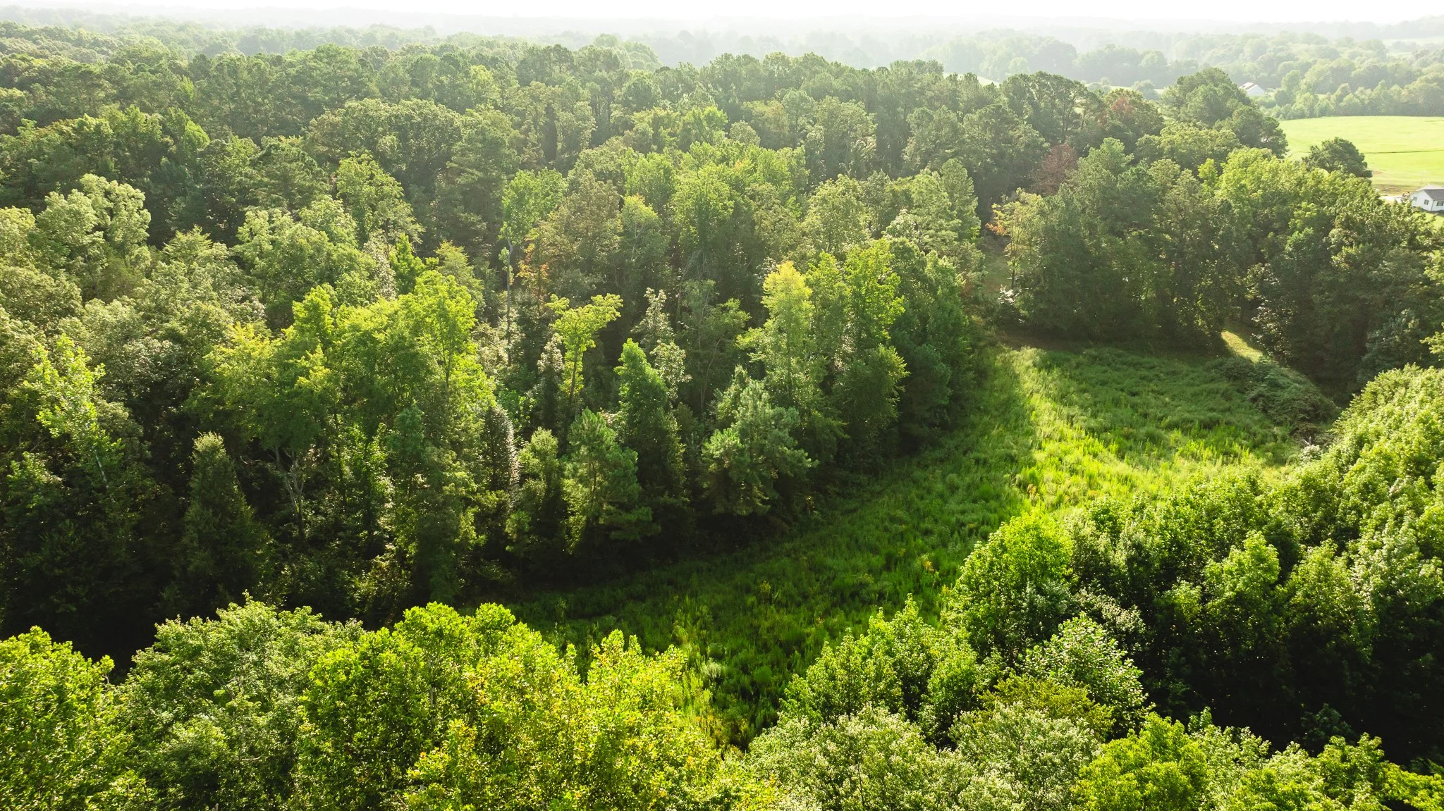 DJI_20260815154850_0043_D.jpg