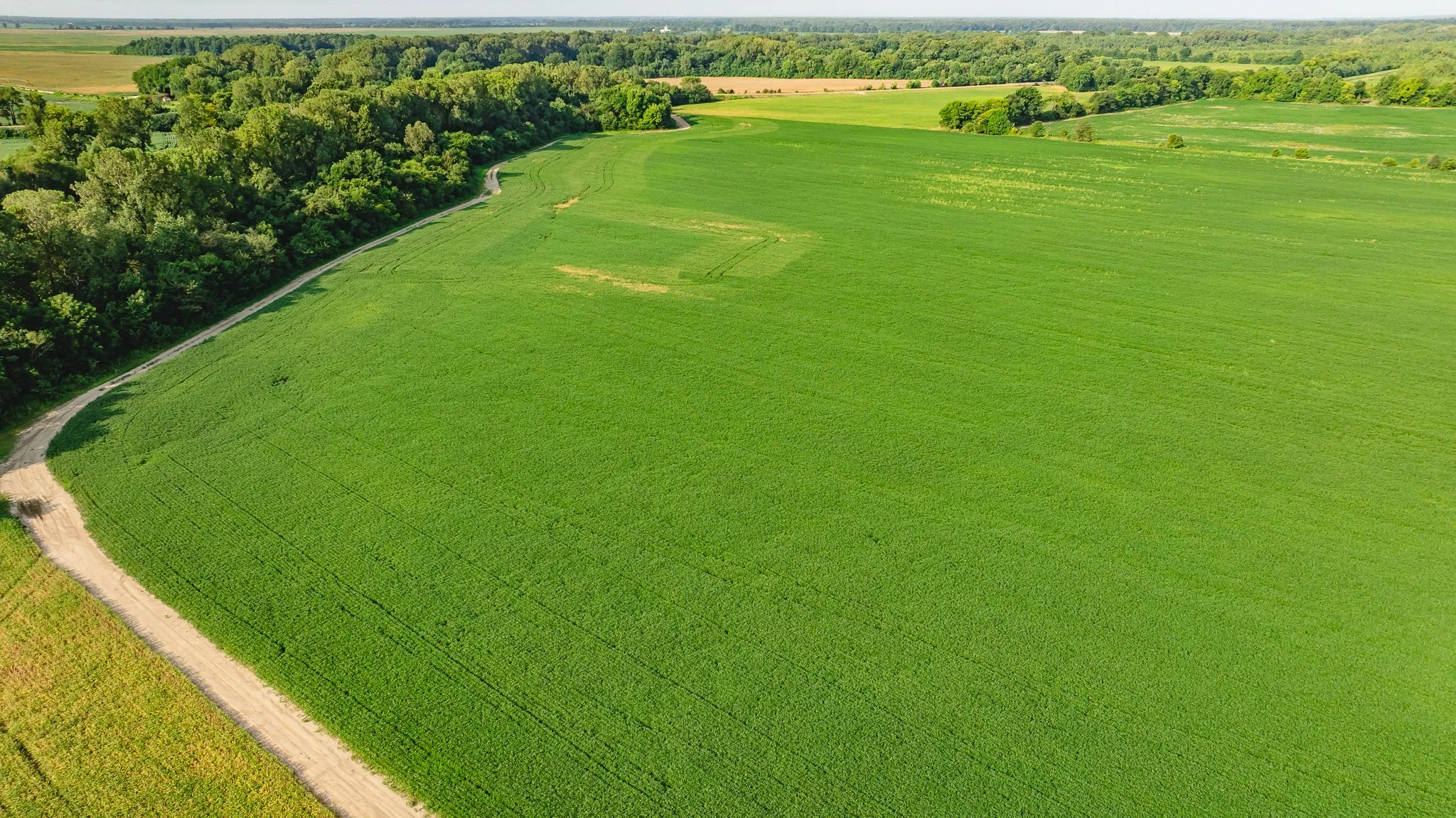 DJI_20260823160740_0023_D.jpg