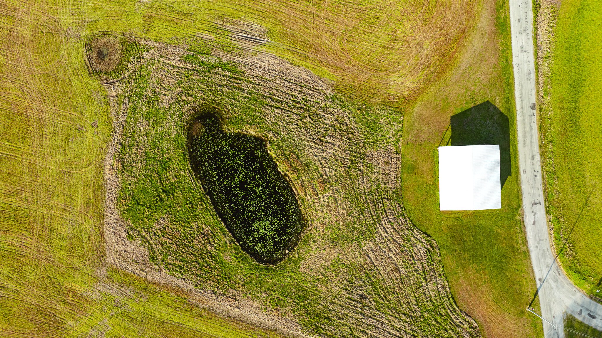 DJI_20260326084725_0025_D.jpg