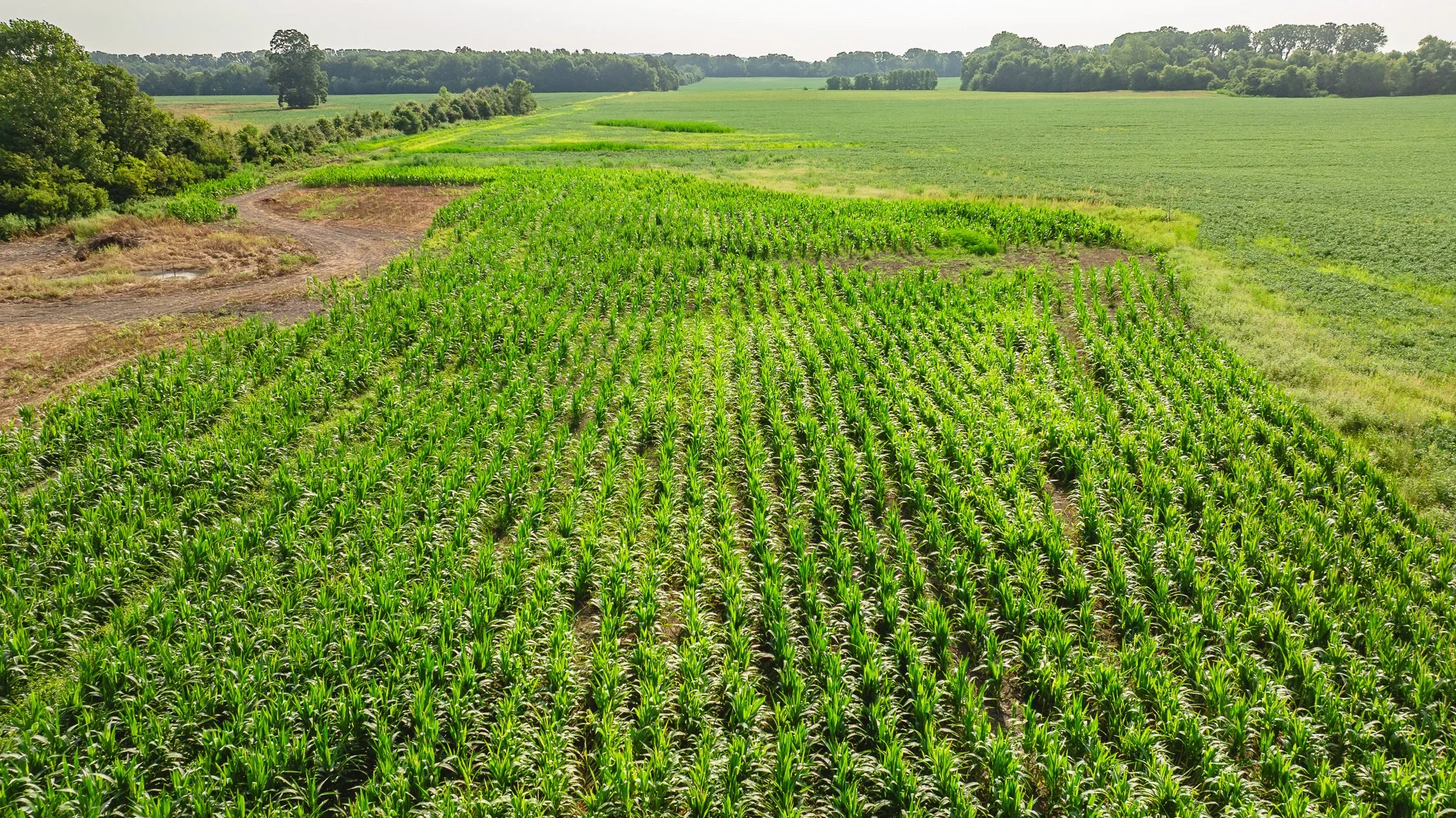 DJI_20260823164104_0055_D.jpg