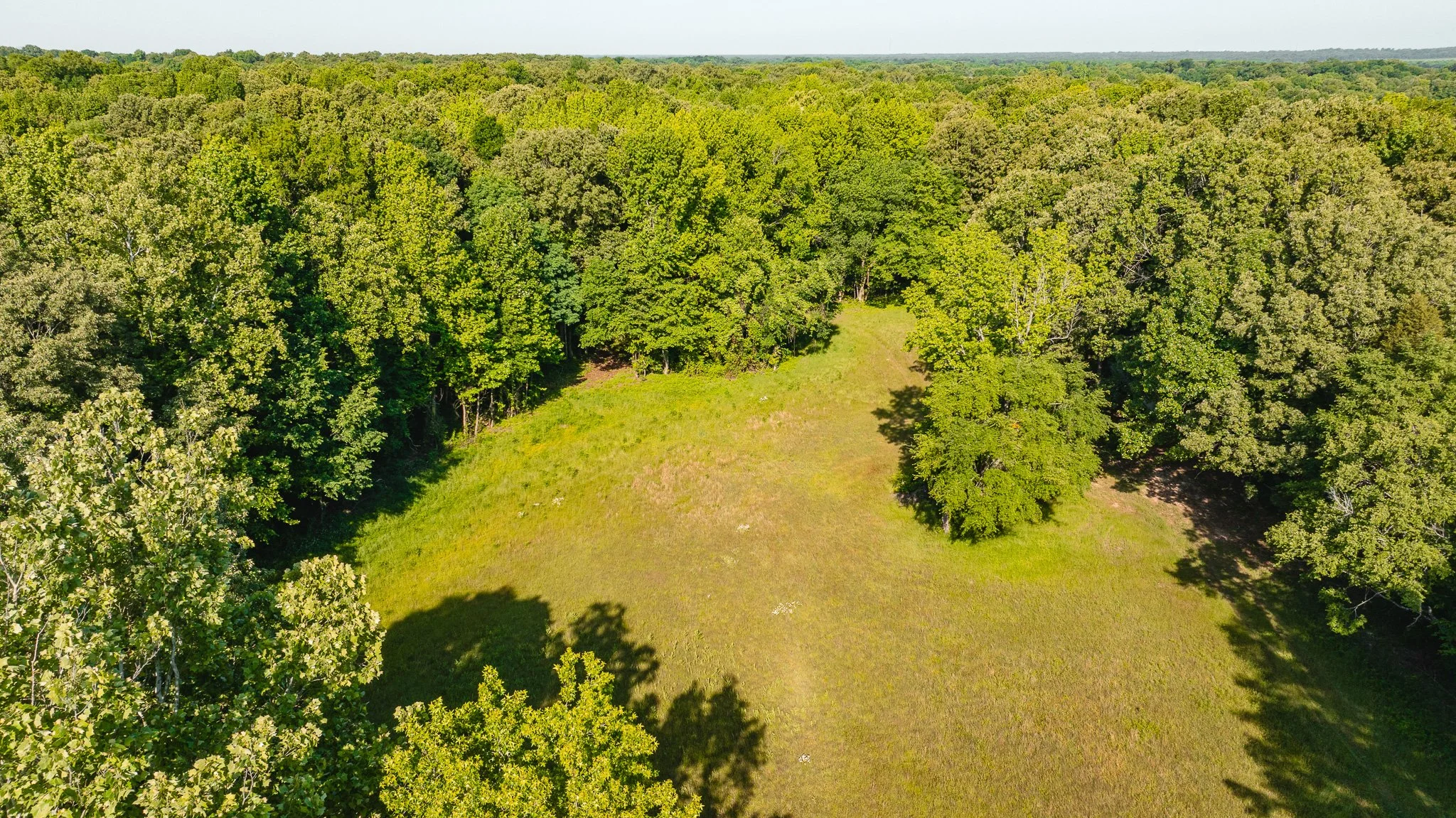 DJI_20260511160010_0015_D.jpg