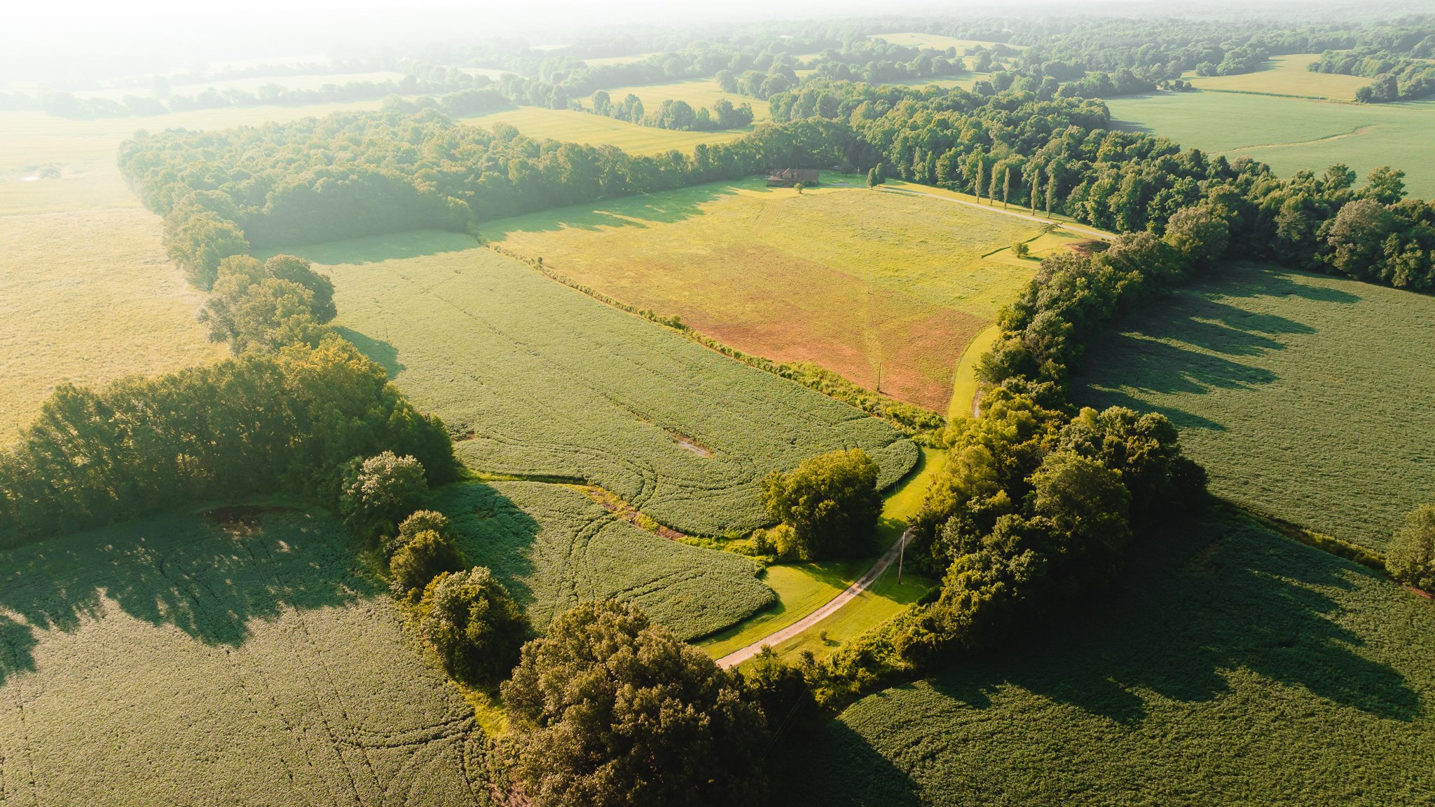 DJI_20260707150502_0041_D.jpg