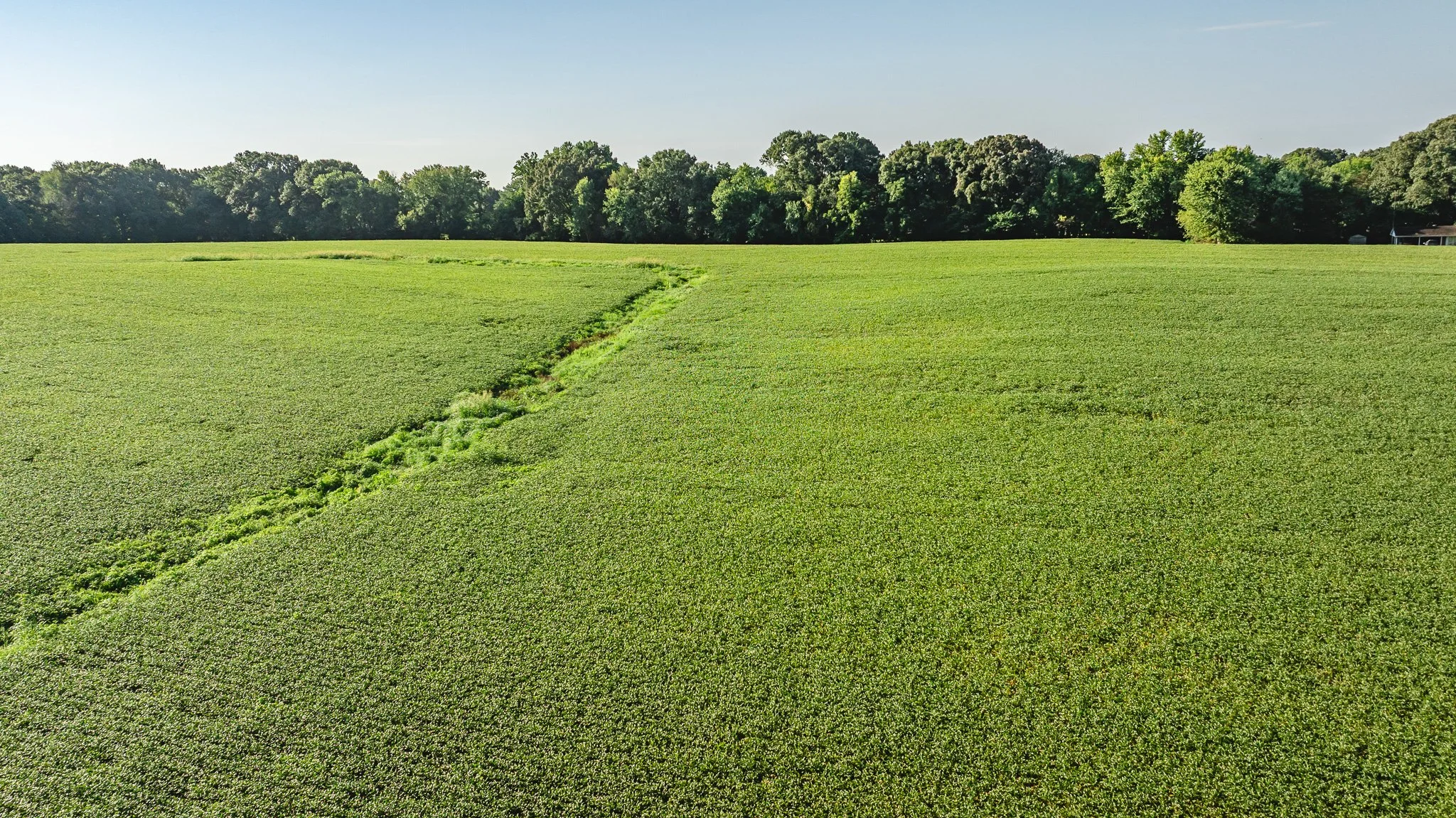 DJI_20260816154236_0006_D.jpg