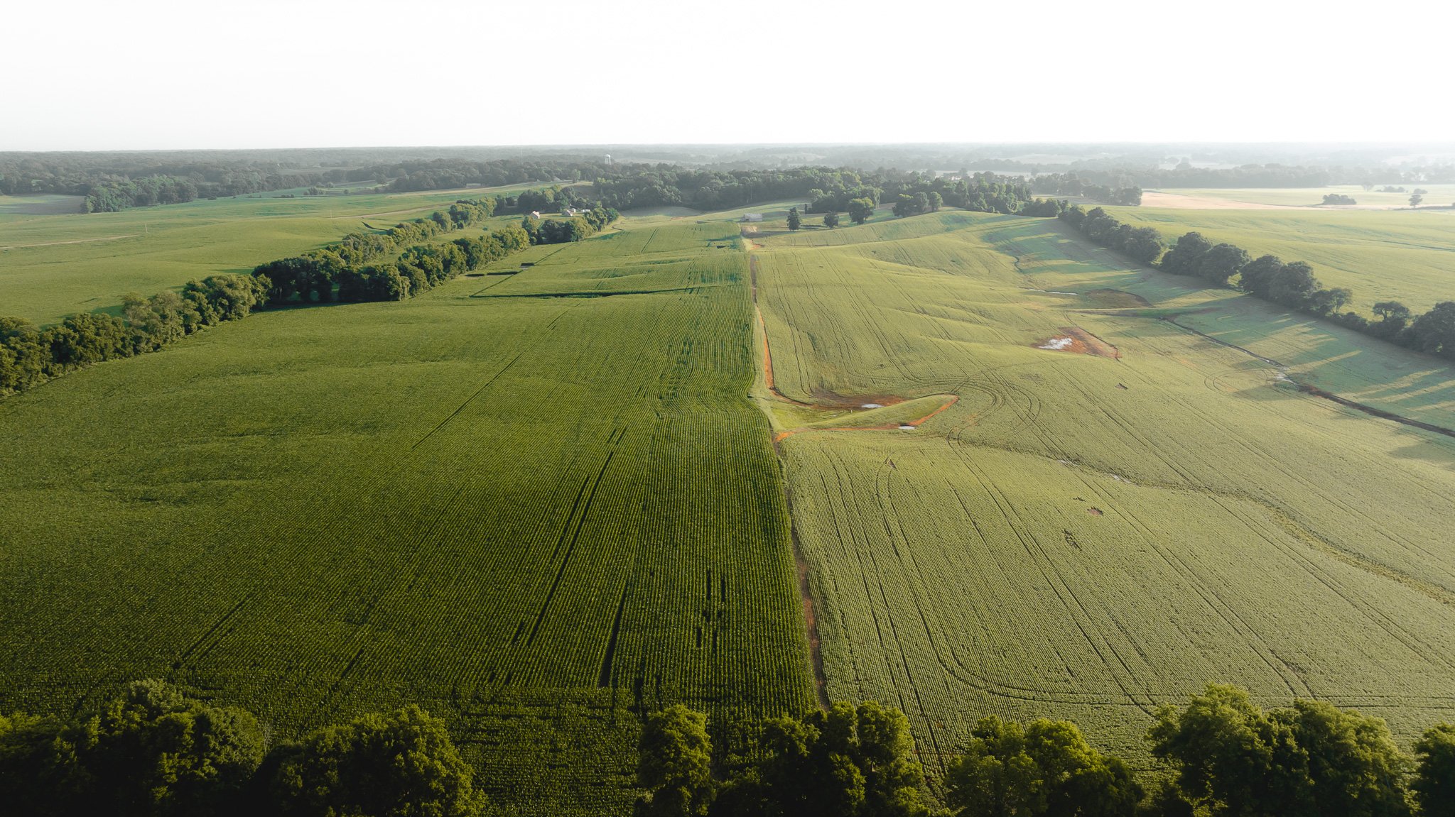 DJI_20260531140441_0080_D.jpg