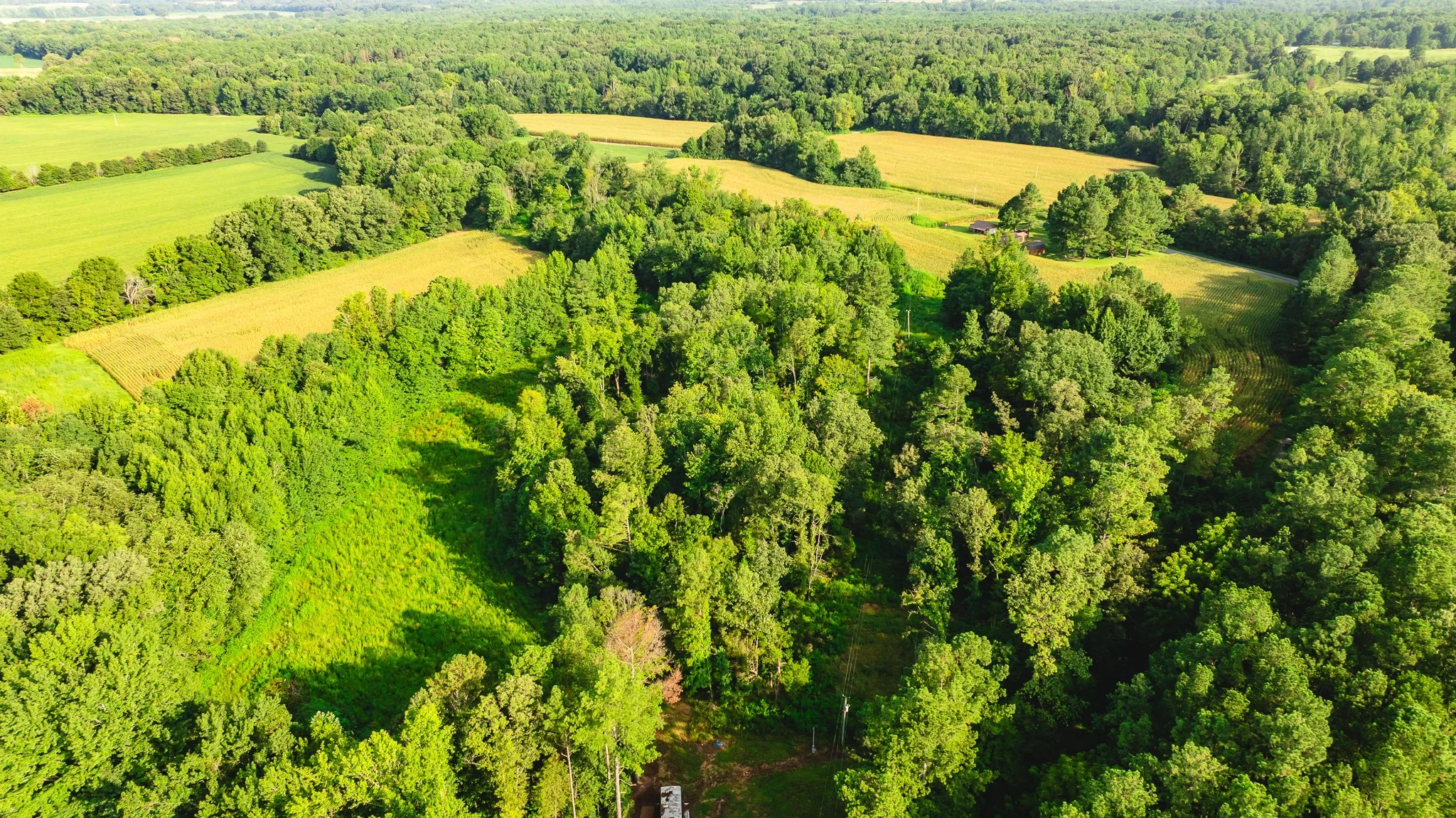 DJI_20260815155724_0063_D.jpg