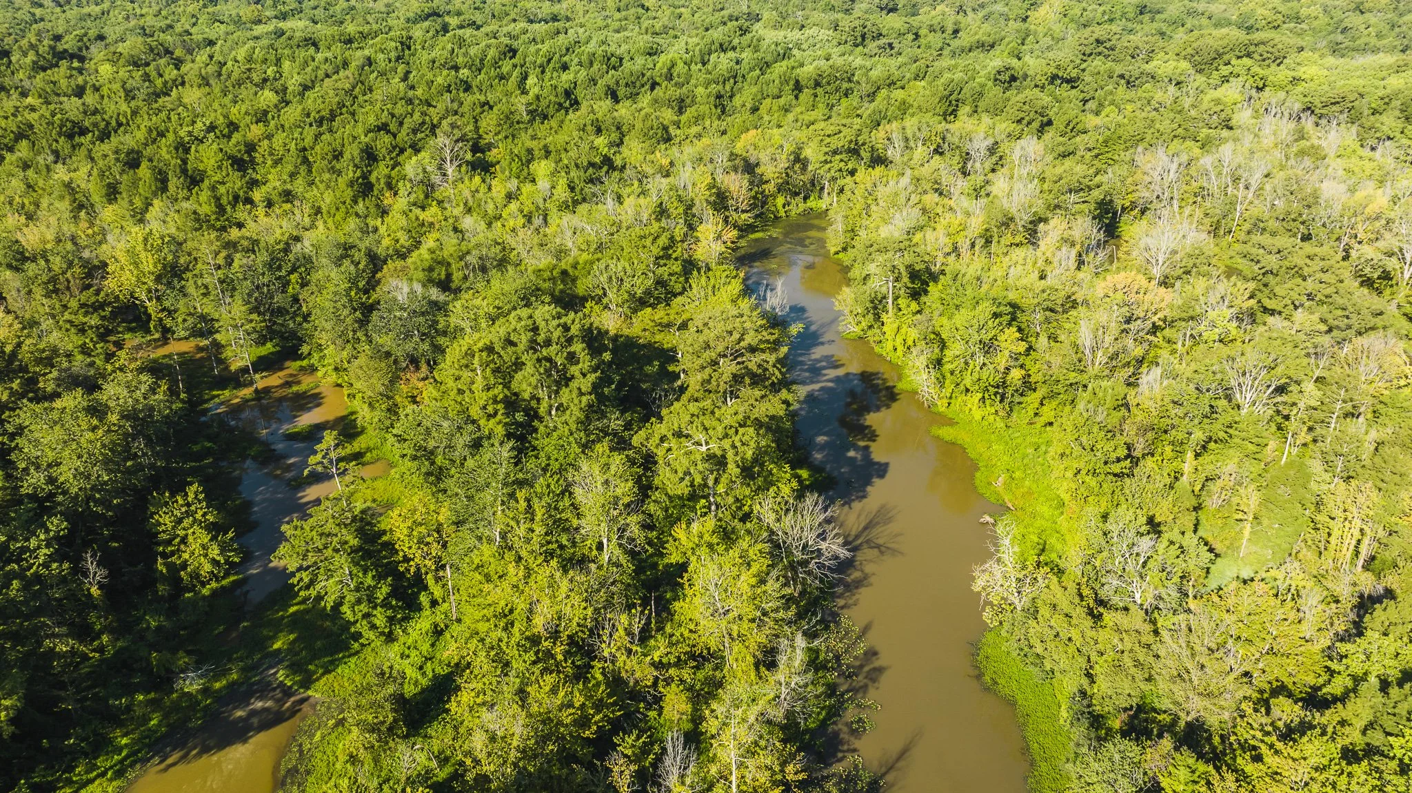 DJI_20250821085645_0046_D.jpg
