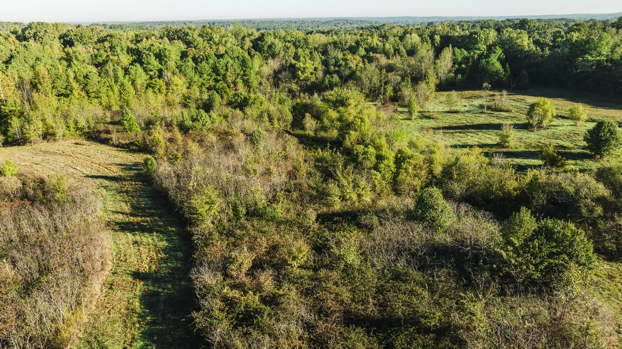 DJI_20251014085042_0015_D.jpg