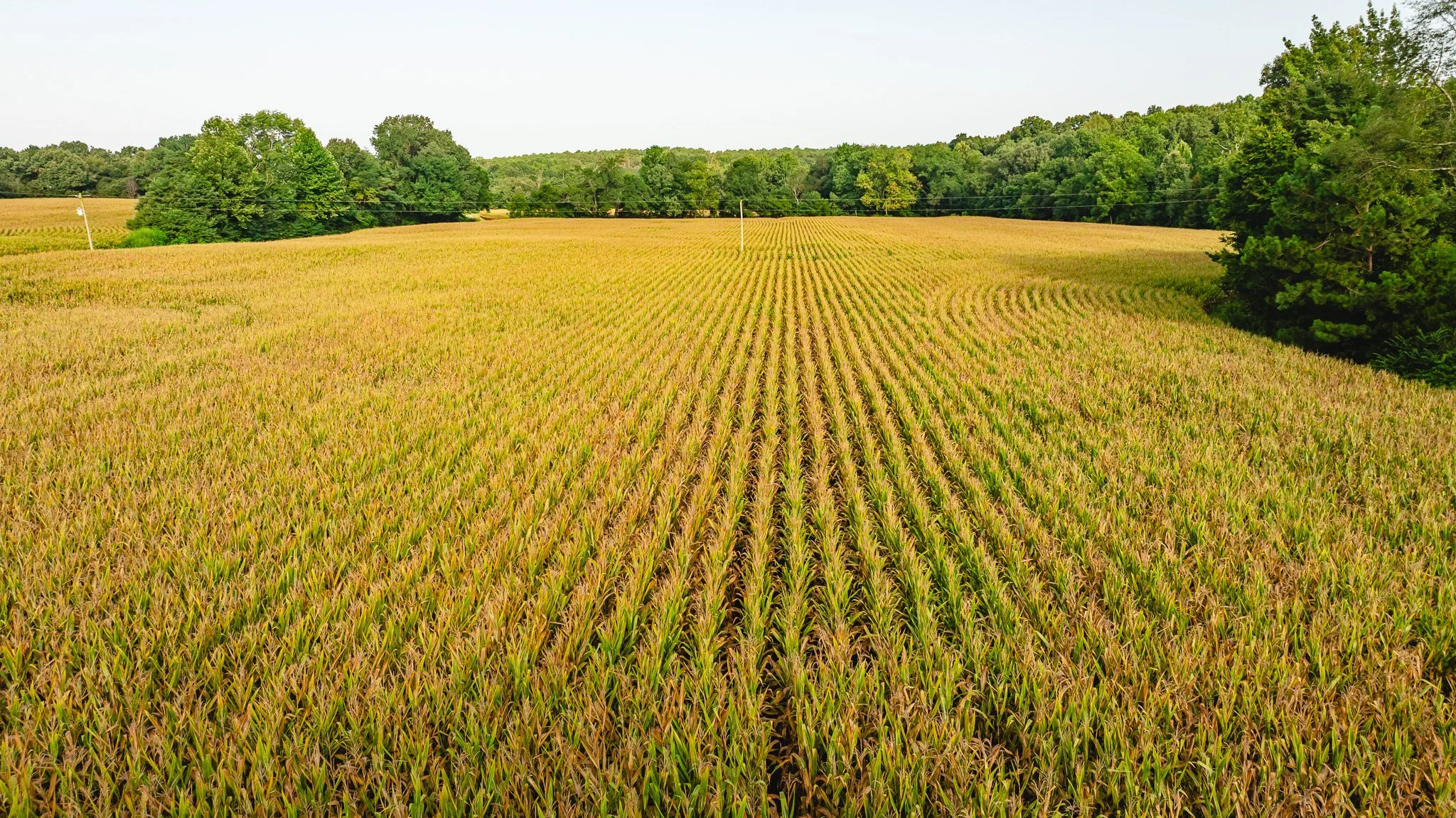 DJI_20260815153709_0015_D.jpg