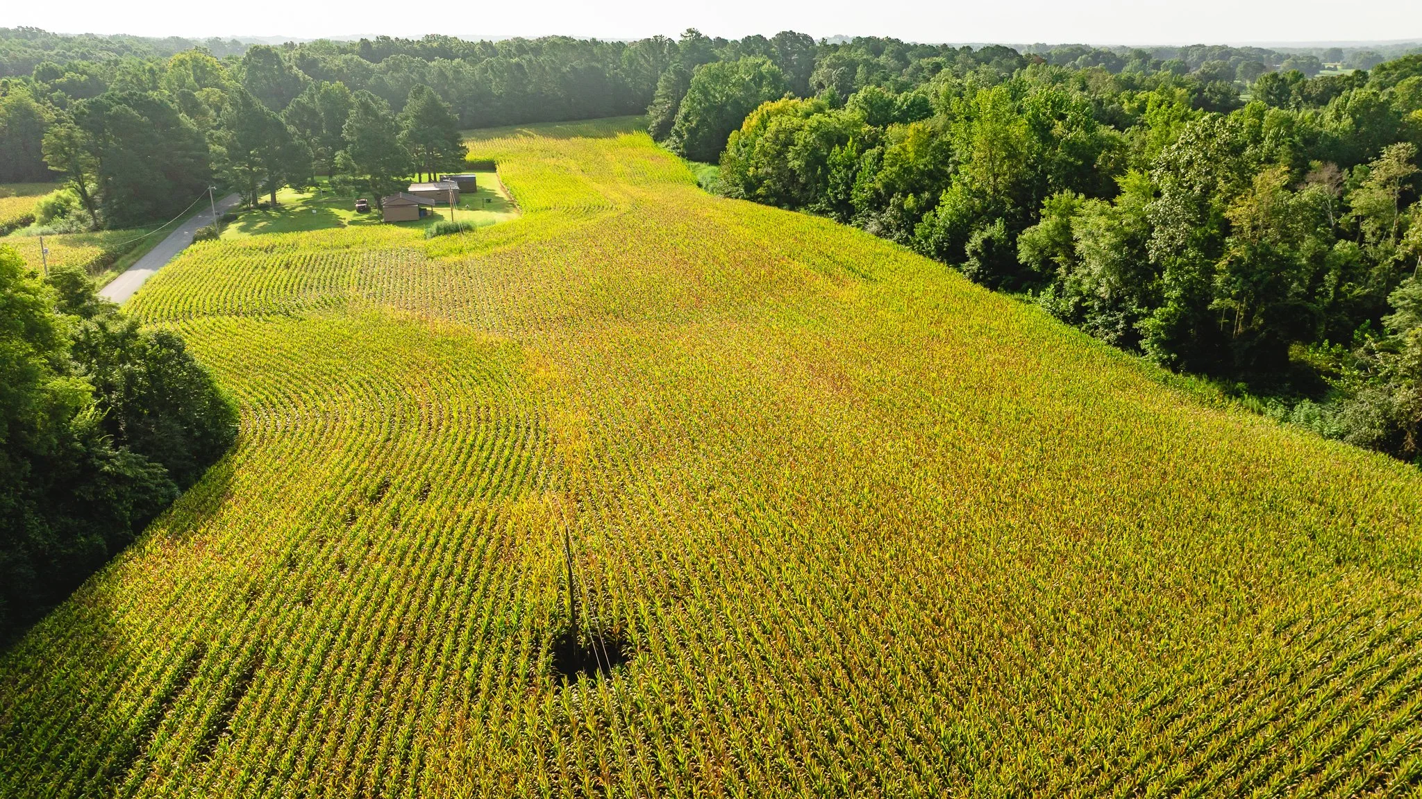 DJI_20260815154615_0035_D.jpg