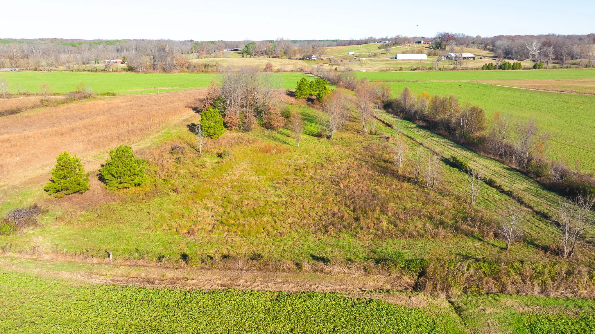 DJI_20251126092814_0005_D.jpg