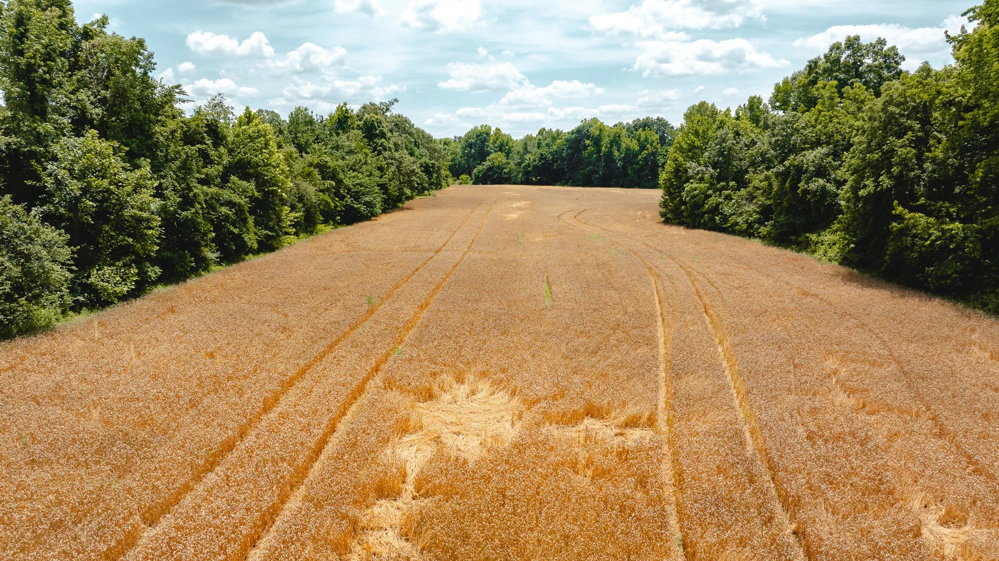 DJI_20260602204009_0010_D.jpg