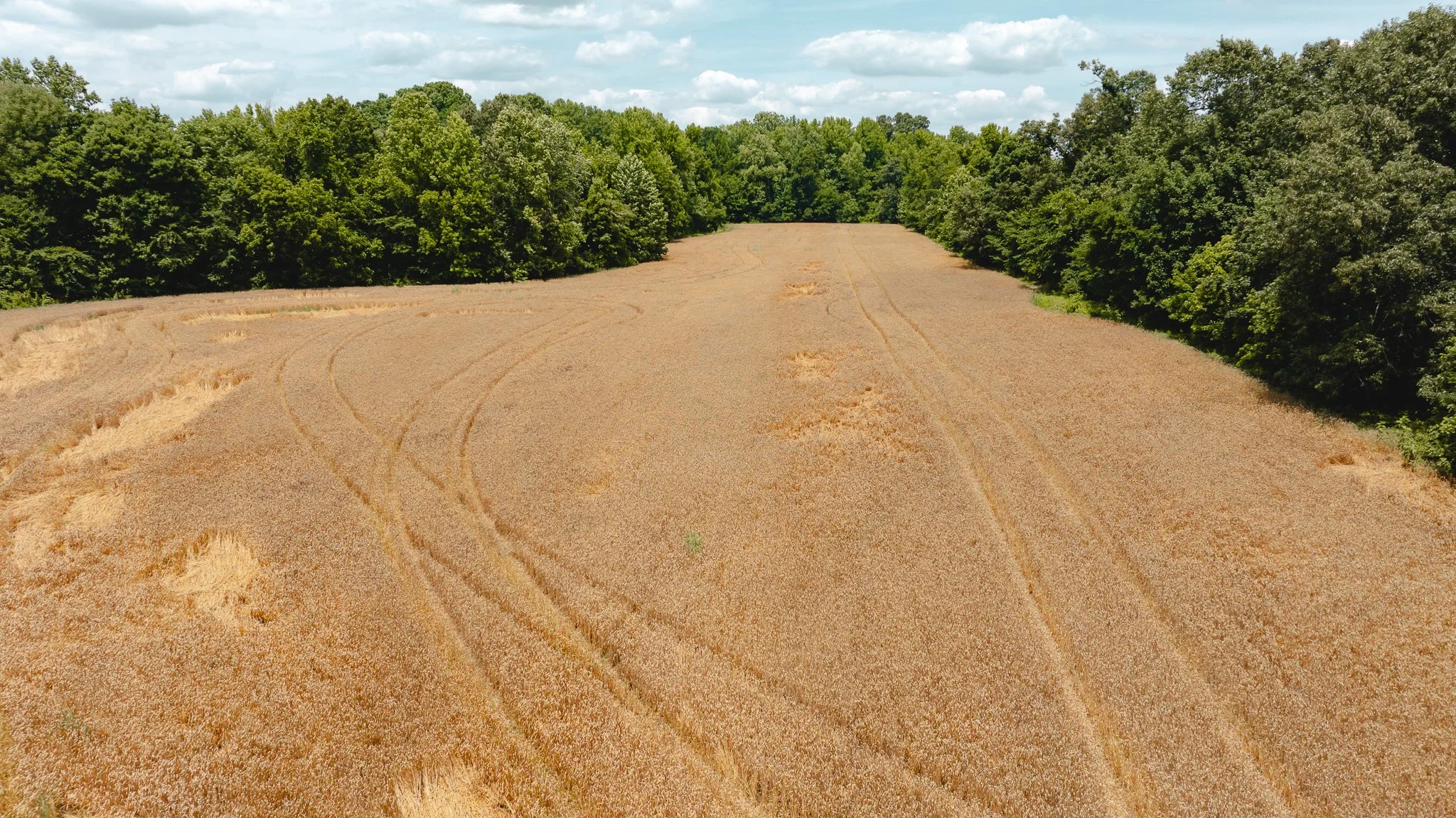 DJI_20260602203831_0005_D.jpg