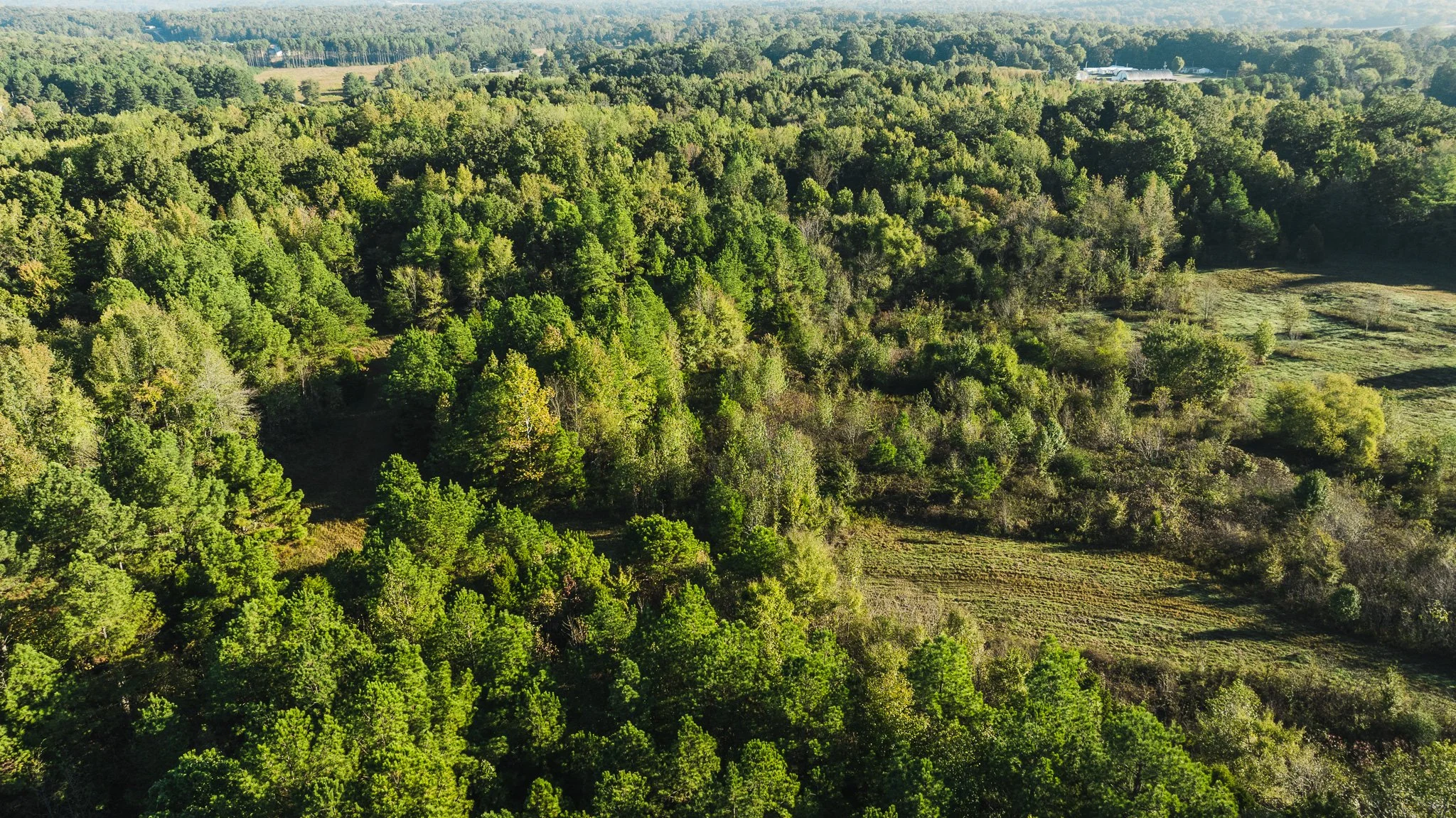 DJI_20251014085014_0013_D.jpg