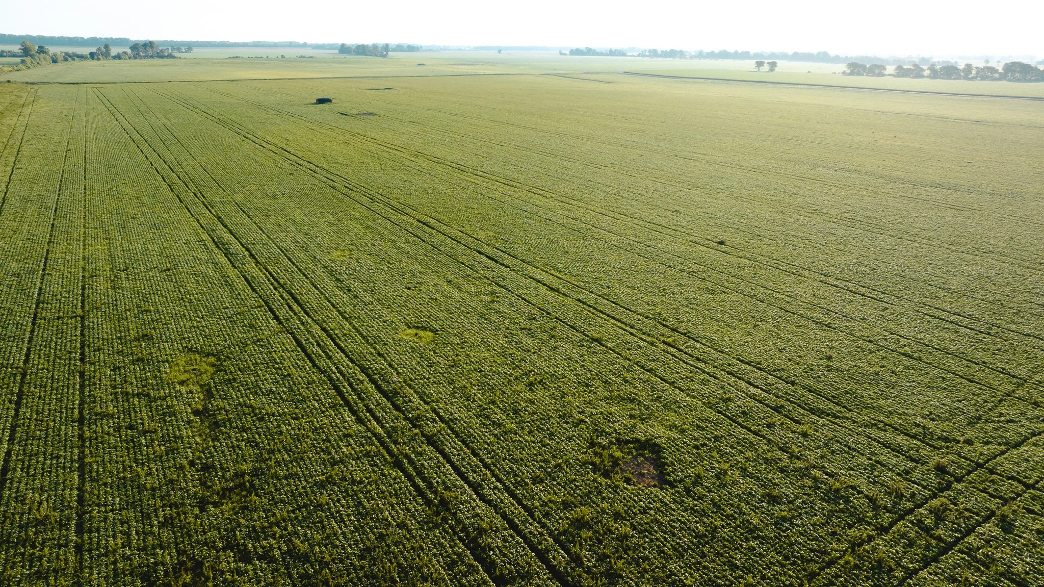 DJI_20260602135450_0026_D.jpg