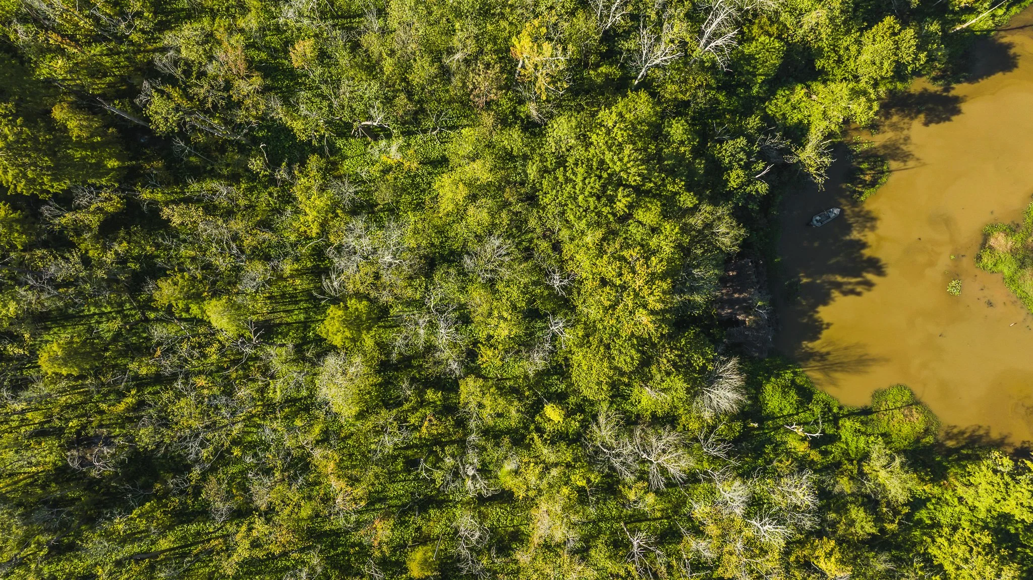 DJI_20250821085748_0048_D.jpg