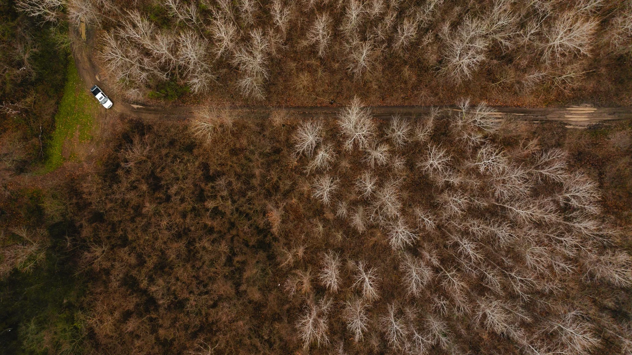 DJI_20251204095759_0036_D.jpg