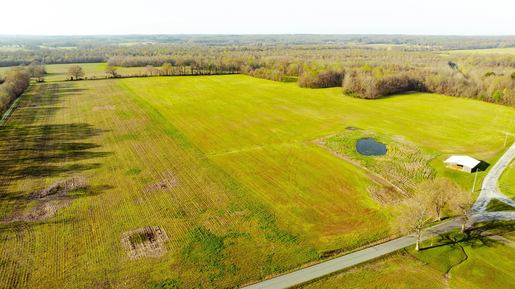 DJI_20260326084703_0024_D.jpg