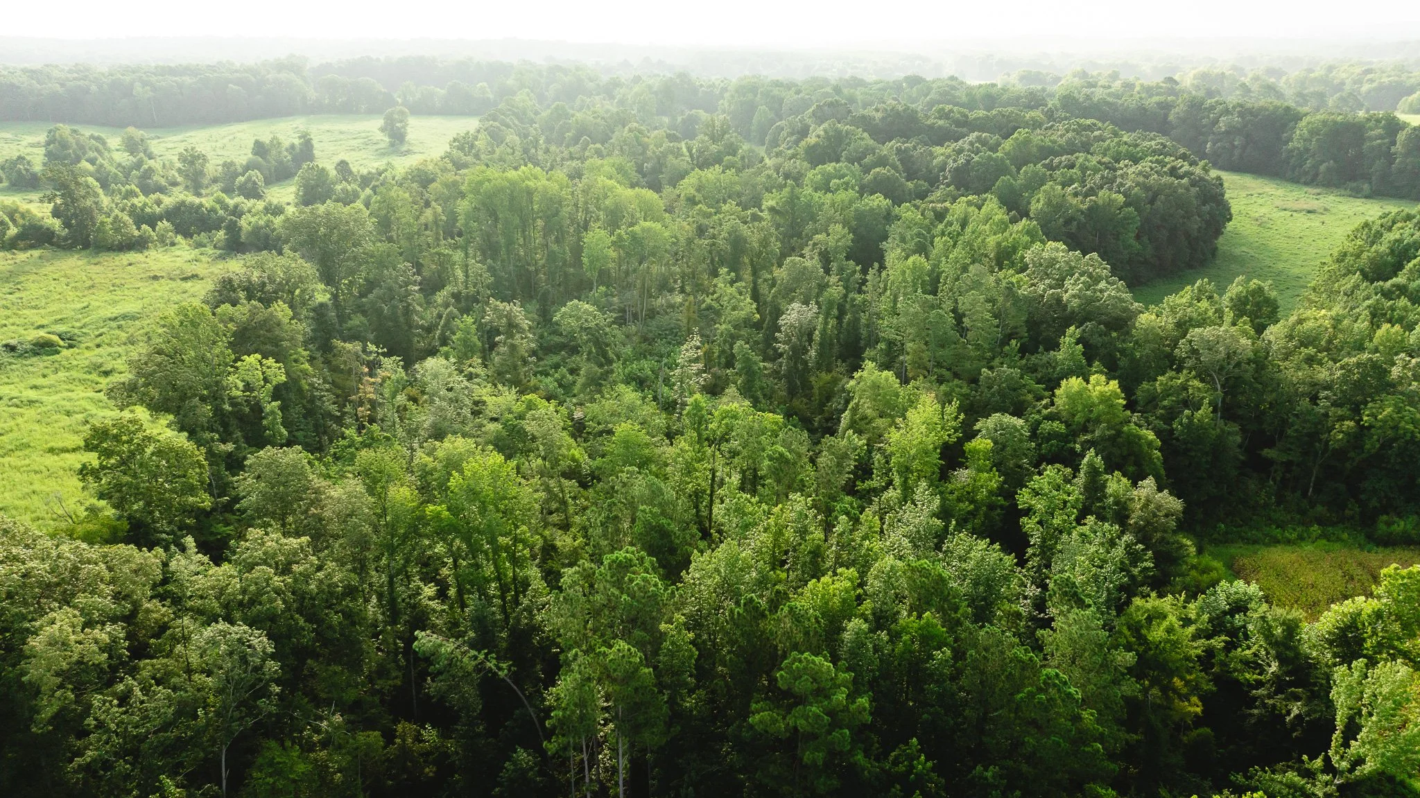 DJI_20260815153326_0004_D.jpg