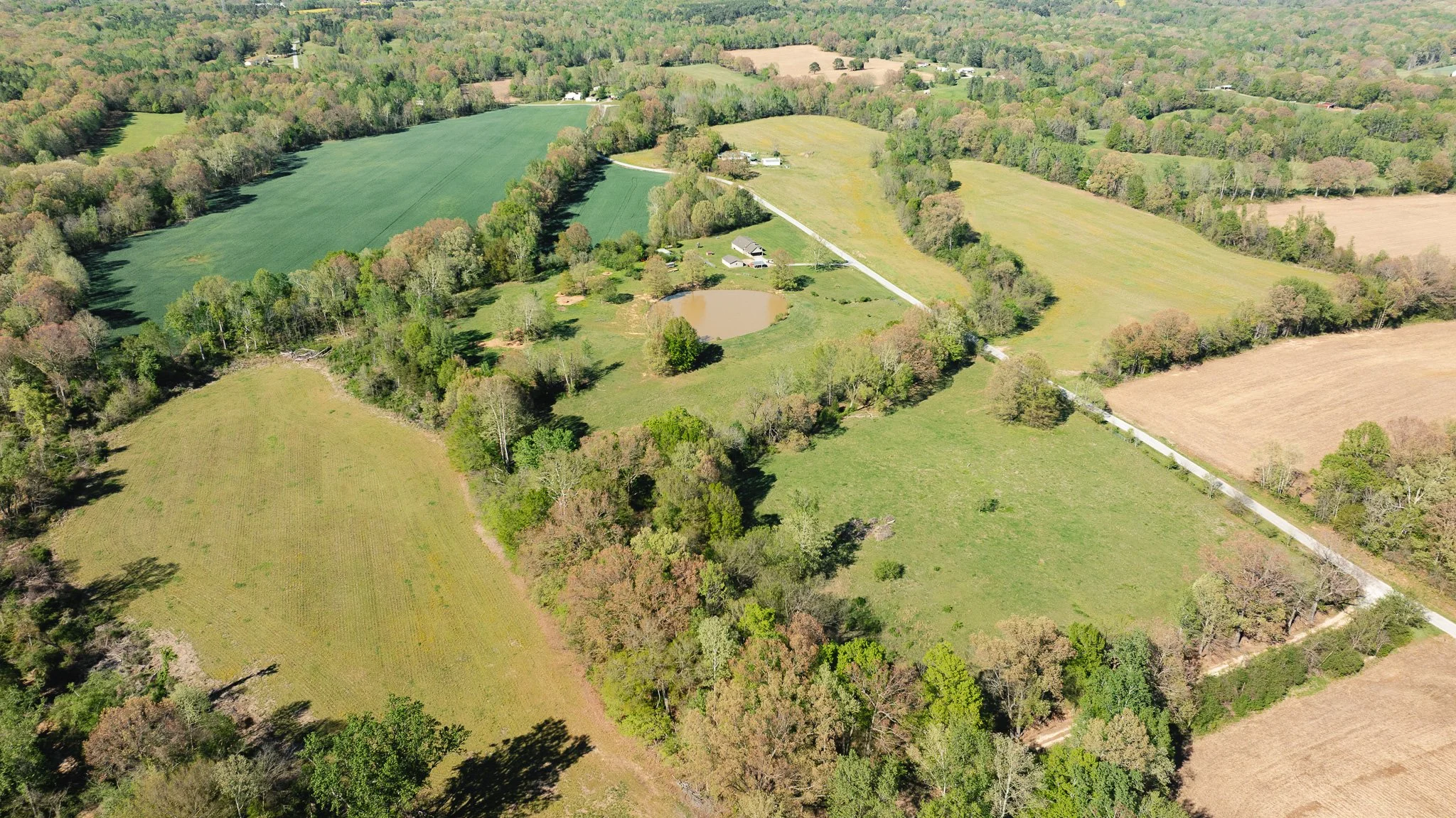 DJI_20260406162225_0039_D.jpg