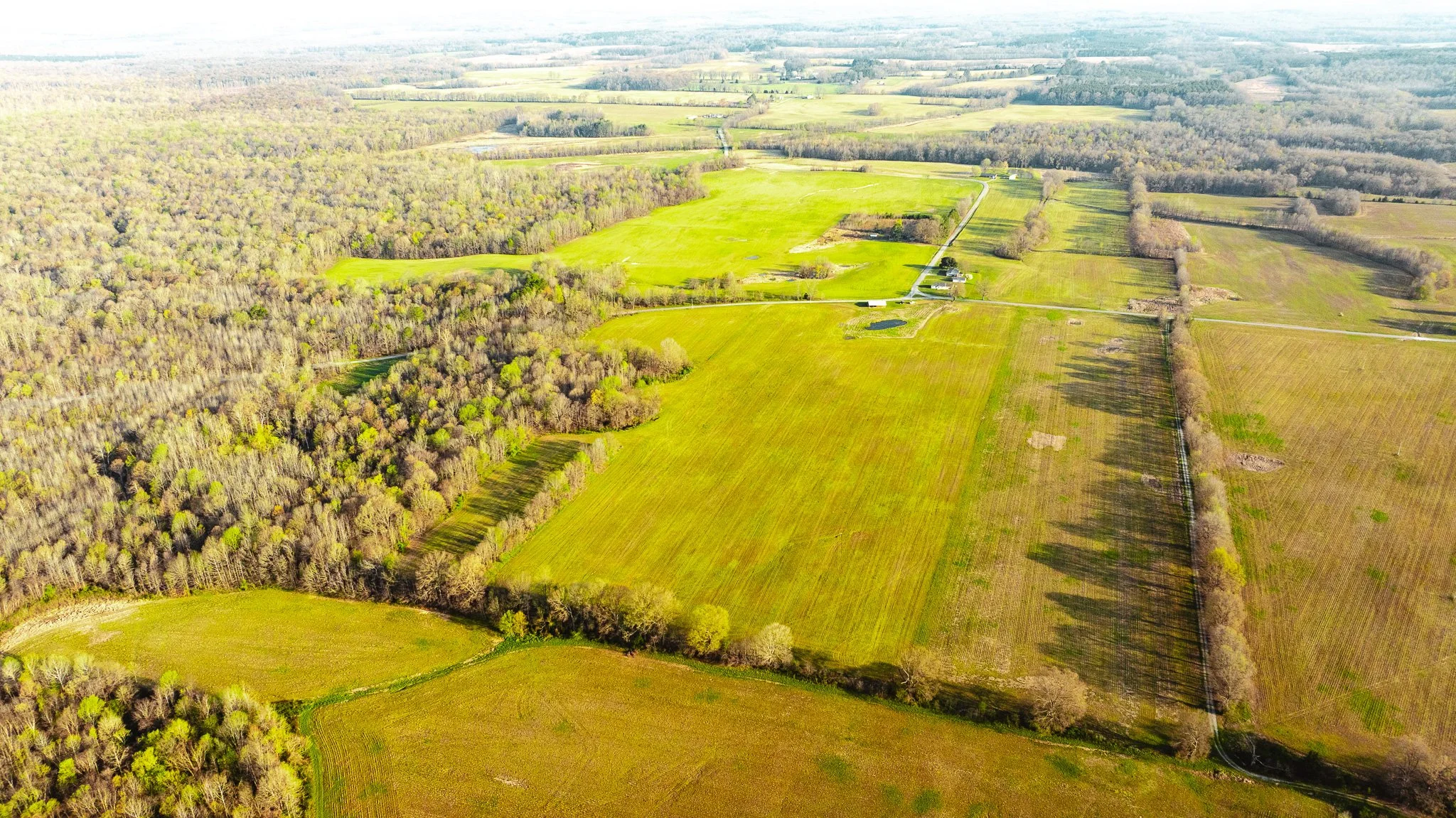 DJI_20260326083852_0006_D.jpg